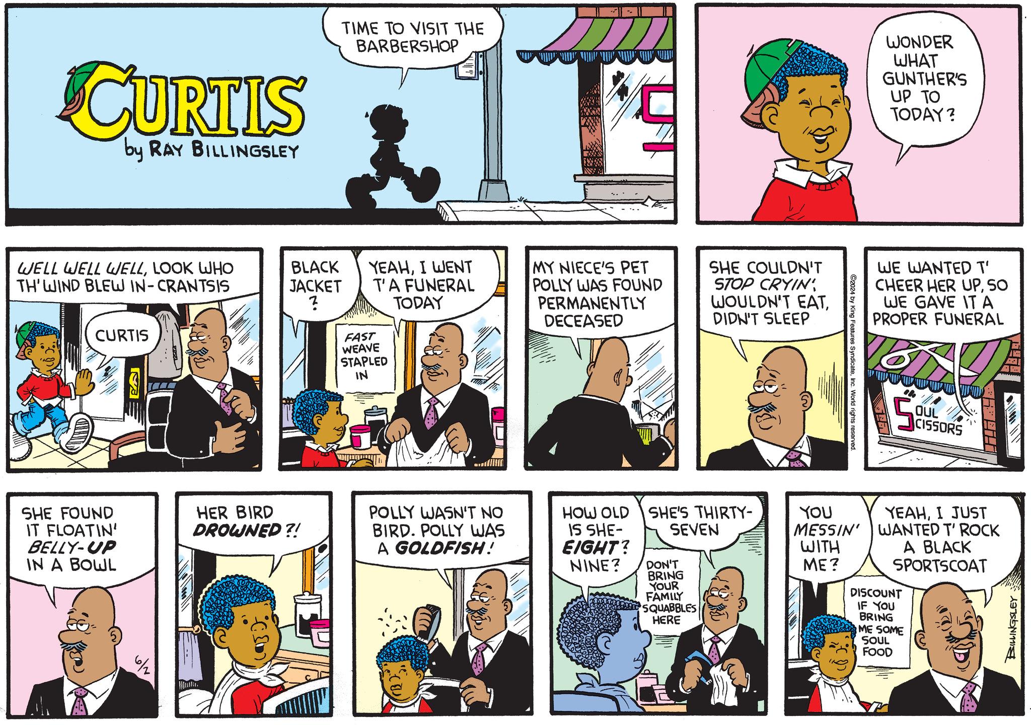 Comics OCR: CURTIS by RAY BILLINGSLEY WELL WELL WELLLOOK WHO TH' WIND BLEW IN-CRANTSIS CURTIS S TIME TO VISIT THE BARBERSHOP BLACK YEAHI WENT JACKET ? T'A FUNERAL TODAY FAST SHE FOUND IT FLOATIN BELLY-UP IN A BOWL HER BIRD DROWNED?! 6/2 WEAVE STAPLED IN POLLY WASN'T NO BIRD. POLLY WAS A GOLDFISH! MY NIECE'S PET POLLY WAS FOUND PERMANENTLY DECEASED SHE COULDN'T STOP CRYIN' WOULDN'T EATDIDN'T SLEEP HOW OLD IS SHE- EIGHT? NINE? SHE'S THIRTY- SEVEN DON'T BRING YOUR FAMILY SQUABBLES HERE ©2024 by King Features SyndicateInc. World rights reserved. WONDER WHAT GUNTHER'S UP TO TODAY? WE WANTED T' CHEER HER UPSO WE GAVE IT A PROPER FUNERAL OUL CISSORS YOU MESSIN' WITH ME? YEAHI JUST WANTED T' ROCK A BLACK SPORTSCOAT DISCOUNT IF YOU BRING ME SOME SOUL FOOD BILLINGSLEY CURTIS by RAY BILLINGSLEY WELL WELL WELLLOOK WHO TH ' WIND BLEW IN - CRANTSIS CURTIS S TIME TO VISIT THE BARBERSHOP BLACK YEAHI WENT JACKET ? T'A FUNERAL TODAY FAST SHE FOUND IT FLOATIN BELLY - UP IN A BOWL HER BIRD DROWNED ?! 6/2 WEAVE STAPLED IN POLLY WASN'T NO BIRD . POLLY WAS A GOLDFISH ! MY NIECE'S PET POLLY WAS FOUND PERMANENTLY DECEASED SHE COULDN'T STOP CRYIN ' WOULDN'T EATDIDN'T SLEEP HOW OLD IS SHE- EIGHT ? NINE ? SHE'S THIRTY- SEVEN DON'T BRING YOUR FAMILY SQUABBLES HERE © 2024 by King Features SyndicateInc. World rights reserved . WONDER WHAT GUNTHER'S UP TO TODAY ? WE WANTED T ' CHEER HER UPSO WE GAVE IT A PROPER FUNERAL OUL CISSORS YOU MESSIN ' WITH ME ? YEAHI JUST WANTED T ' ROCK A BLACK SPORTSCOAT DISCOUNT IF YOU BRING ME SOME SOUL FOOD BILLINGSLEY