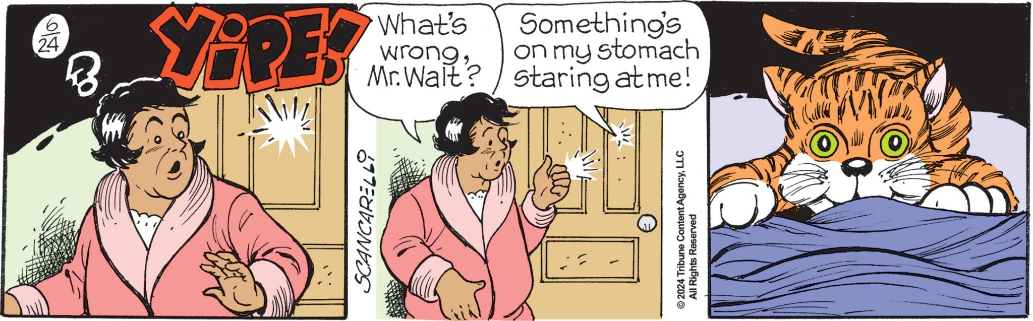 Conversation OCR: 24 & YiREY What's wrongMr. Wait? Something's on my stomach staring at me! SCANCARELLi © 2024 Tribune Content AgencyLLC All Rights Reserved 24 & YiREY What's wrongMr. Wait ? Something's on my stomach staring at me ! SCANCARELLi © 2024 Tribune Content AgencyLLC All Rights Reserved