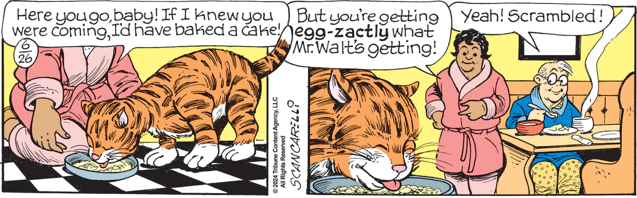 Font OCR: Here you gobaby! If I knew you But you're getting Yeah! Scrambled! were comingI'd have baked a cake! egg-zactly what 26. Mr. Walt's getting! ©2024 Tribune Content AgencyLLC All Rights Reserved SCANCARELLi Here you gobaby ! If I knew you But you're getting Yeah ! Scrambled ! were comingI'd have baked a cake ! egg - zactly what 26 . Mr. Walt's getting ! © 2024 Tribune Content AgencyLLC All Rights Reserved SCANCARELLi