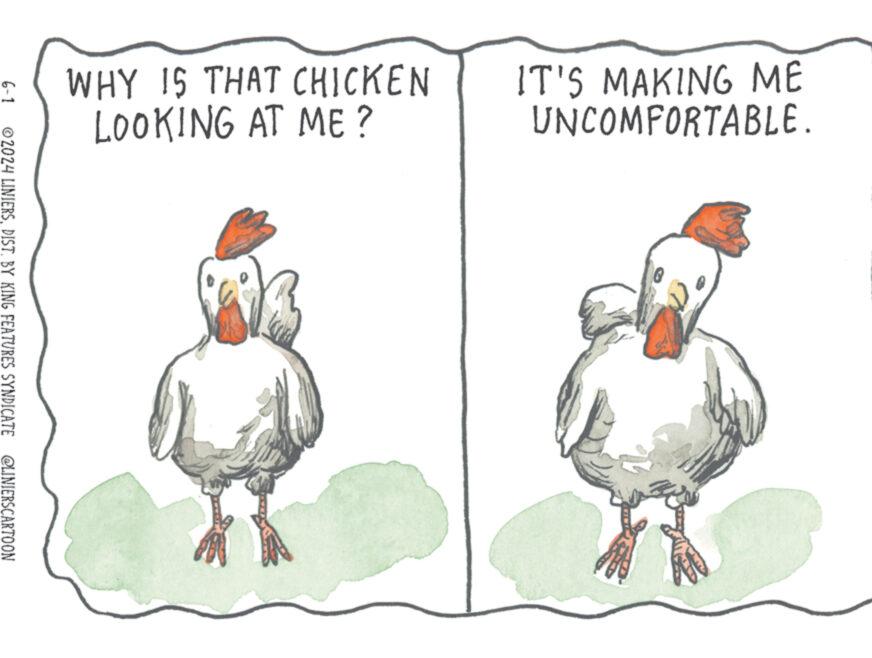 Water bird OCR: WHY IS THAT CHICKEN LOOKING AT ME? 6-1 ©2024 LINIERSDIST. BY KING FEATURES SYNDICATE @LINIERSCARTOON IT'S MAKING ME UNCOMFORTABLE. WHY IS THAT CHICKEN LOOKING AT ME ? 6-1 © 2024 LINIERSDIST . BY KING FEATURES SYNDICATE @LINIERSCARTOON IT'S MAKING ME UNCOMFORTABLE .