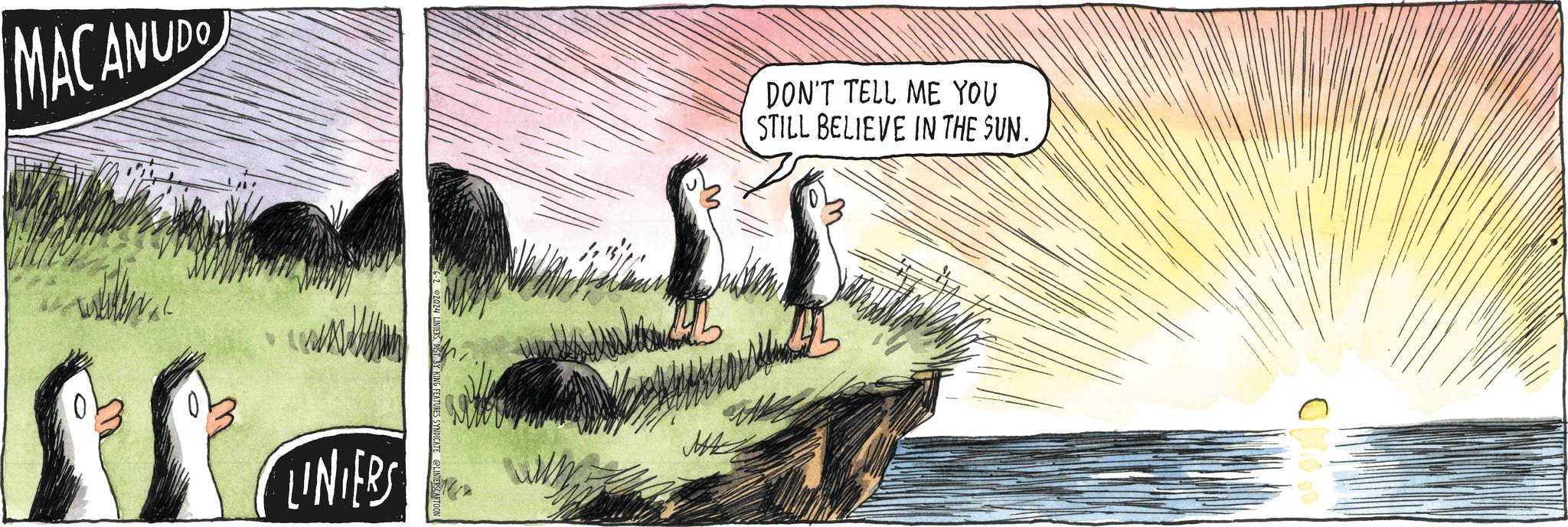Rectangle OCR: MACANUDO 6-2 2024 LINIERSDIST BY KING F LINIERS M DON'T TELL ME YOU STILL BELIEVE IN THE SUN. L MAC MACANUDO 6-2 2024 LINIERSDIST BY KING F LINIERS M DON'T TELL ME YOU STILL BELIEVE IN THE SUN . L MAC