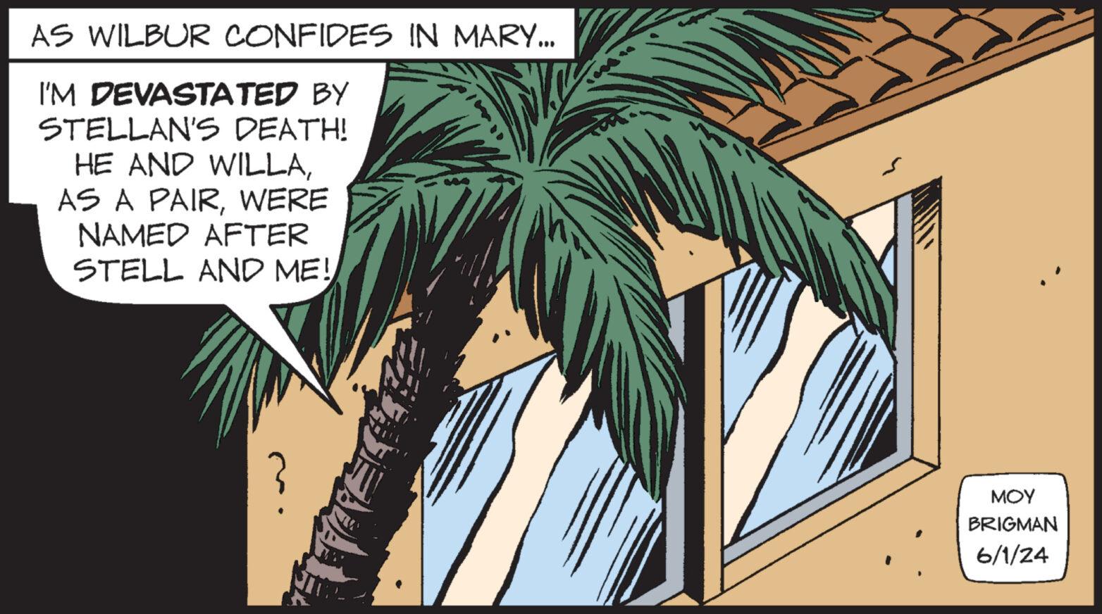 Palm tree OCR: AS WILBUR CONFIDES IN MARY... I'M DEVASTATED BY STELLAN'S DEATH! HE AND WILLAWERE NAMED AFTER STELL AND ME! MOY BRIGMAN 6/1/24 AS WILBUR CONFIDES IN MARY ... I'M DEVASTATED BY STELLAN'S DEATH ! HE AND WILLAAS A PAIRWERE NAMED AFTER STELL AND ME ! MOY BRIGMAN 6/1/24