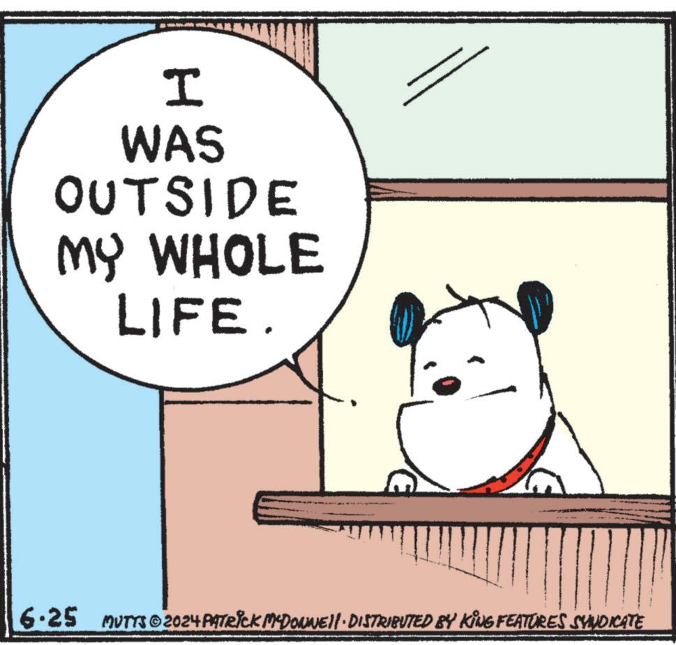 Line OCR: I WAS OUTSIDE MY WHOLE LIFE. 6.25 MUTTS@2024 PATRICK MCDONNEL DISTRIBUTED BY KING FEATURES SYNDICATE • I WAS OUTSIDE MY WHOLE LIFE . 6.25 MUTTS @ 2024 PATRICK MCDONNEL DISTRIBUTED BY KING FEATURES SYNDICATE •