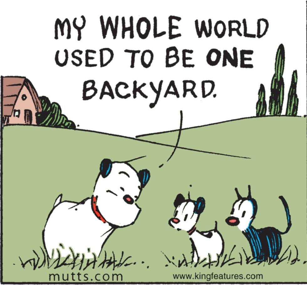 Dog OCR: MY WHOLE WORLD USED TO BE ONE BACKYARD. mutts.com www.kingfeatures.com MY WHOLE WORLD USED TO BE ONE BACKYARD . mutts.com www.kingfeatures.com