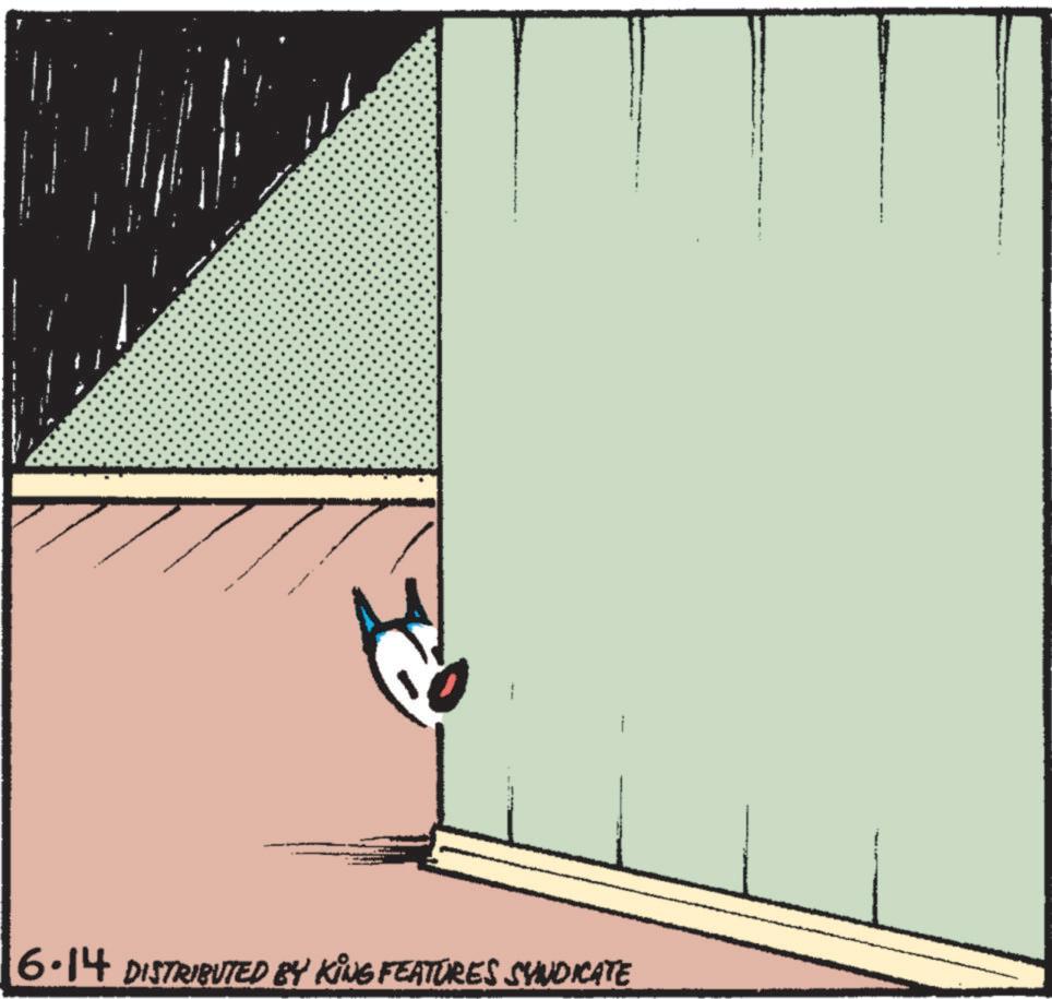 Pattern OCR: T 6·14 DISTRIBUTED BY KING FEATURES SYNDICATE ! T 6 · 14 DISTRIBUTED BY KING FEATURES SYNDICATE !