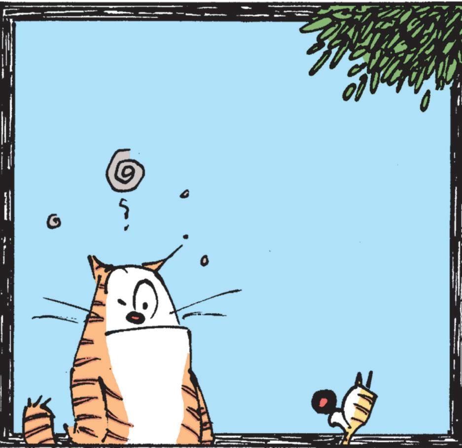 Whiskers OCR: 0 0
