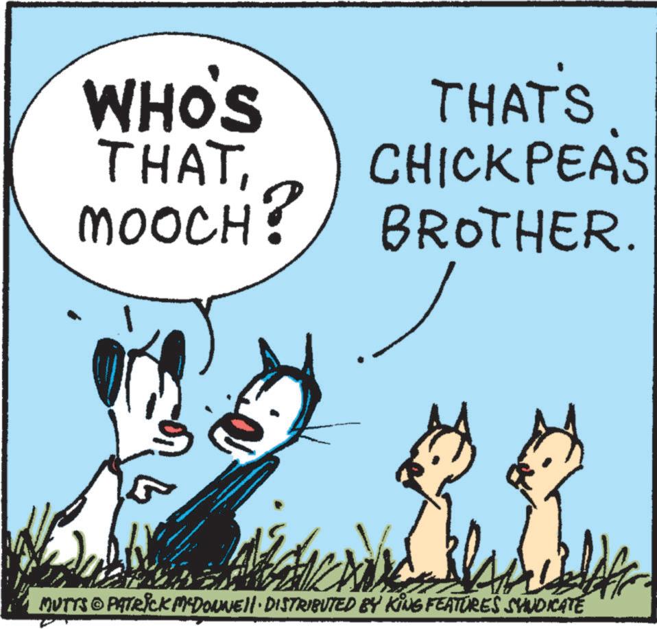 Line OCR: WHO'S THATTHATS MOOCH? CHICKPEAS BROTHER. MUTTS © PATRICK MYDONNELL DISTRIBUTED BY KING FEATURES SYNDICATE WHO'S THATTHATS MOOCH ? CHICKPEAS BROTHER . MUTTS © PATRICK MYDONNELL DISTRIBUTED BY KING FEATURES SYNDICATE