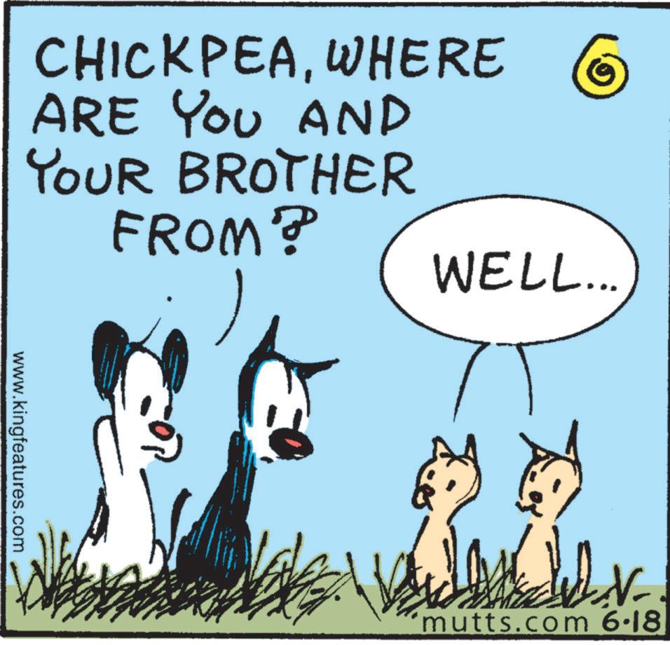 Line OCR: CHICKPEAWHERE ARE YOU AND YOUR BROTHER FROM? WELL... www.kingfeatures.com 'mutts.com 6·18 CHICKPEAWHERE ARE YOU AND YOUR BROTHER FROM ? WELL ... www.kingfeatures.com ' mutts.com 6 · 18