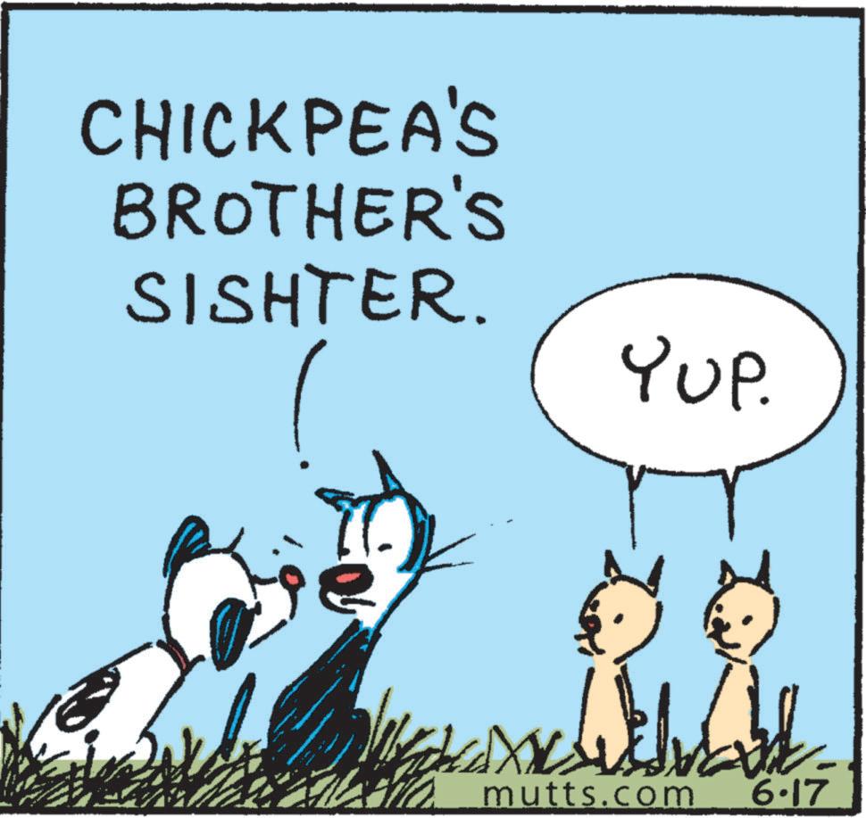 Art OCR: CHICKPEA'S BROTHER'S SISHTER. YUP. mutts.com 6.17 CHICKPEA'S BROTHER'S SISHTER . YUP . mutts.com 6.17