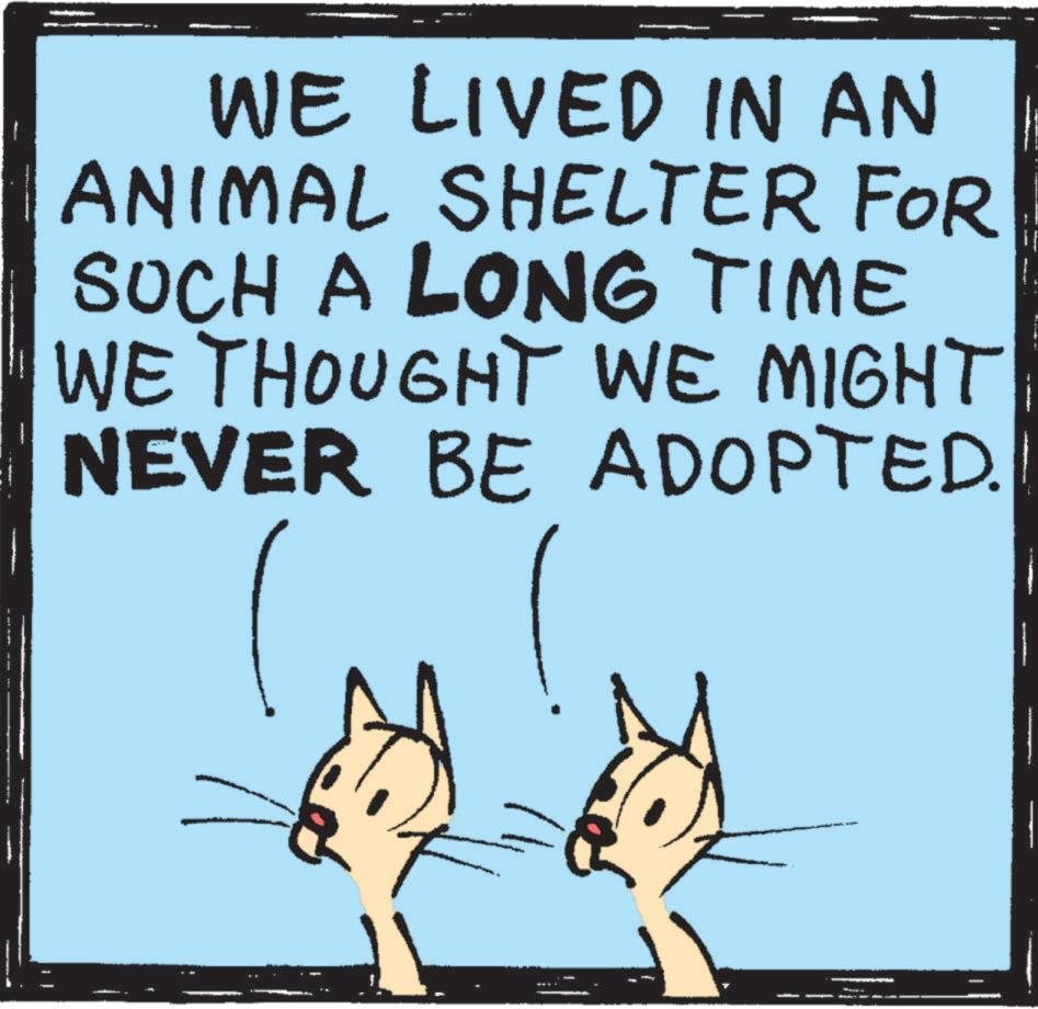 Adaptation OCR: WE LIVED IN AN ANIMAL SHELTER FOR SUCH A LONG TIME WE THOUGHT WE MIGHT NEVER BE ADOPTED WE LIVED IN AN ANIMAL SHELTER FOR SUCH A LONG TIME WE THOUGHT WE MIGHT NEVER BE ADOPTED