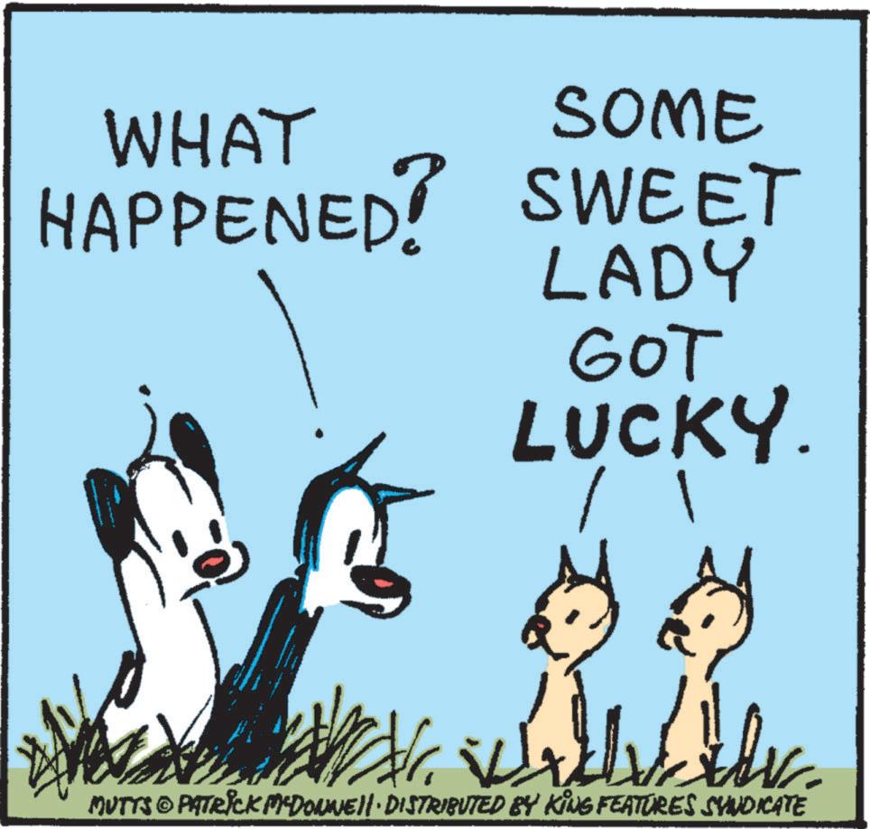 Line OCR: WHAT SOME HAPPENED? SWEET LADY GOT LUCKY. / 1 MUTTS © PATRICK MCDONNELL DISTRIBUTED BY KING FEATURES SYNDICATE WHAT SOME HAPPENED ? SWEET LADY GOT LUCKY . / 1 MUTTS © PATRICK MCDONNELL DISTRIBUTED BY KING FEATURES SYNDICATE