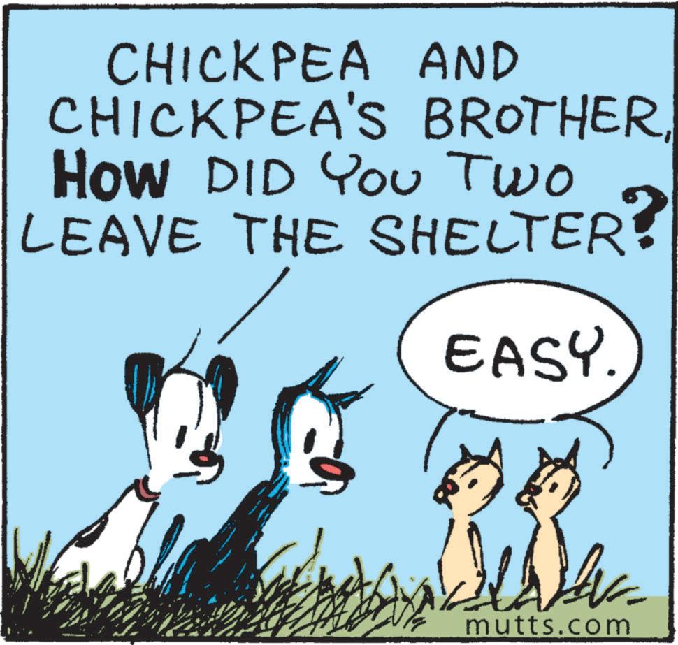 Adaptation OCR: CHICKPEA AND CHICKPEA'S BROTHERHow DID You Two LEAVE THE SHELTER? EASY mutts.com CHICKPEA AND CHICKPEA'S BROTHERHow DID You Two LEAVE THE SHELTER ? EASY mutts.com