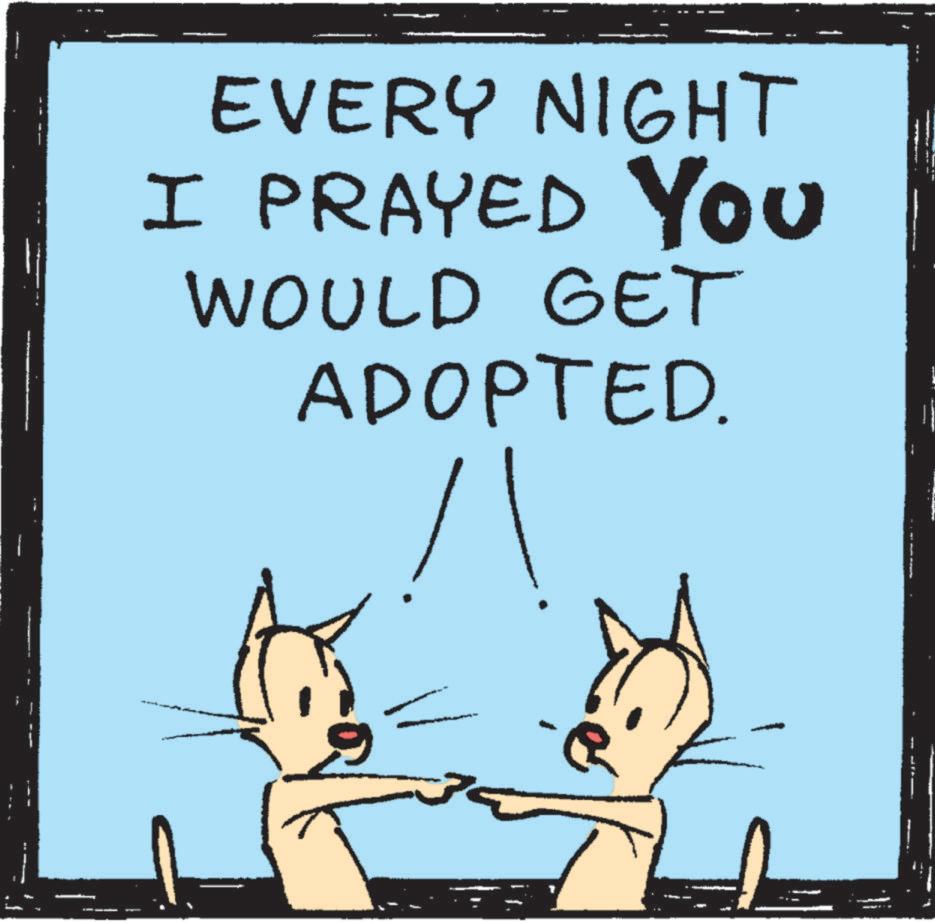 Illustration OCR: EVERY NIGHT I PRAYED You WOULD GET ADOPTED. ? EVERY NIGHT I PRAYED You WOULD GET ADOPTED . ?
