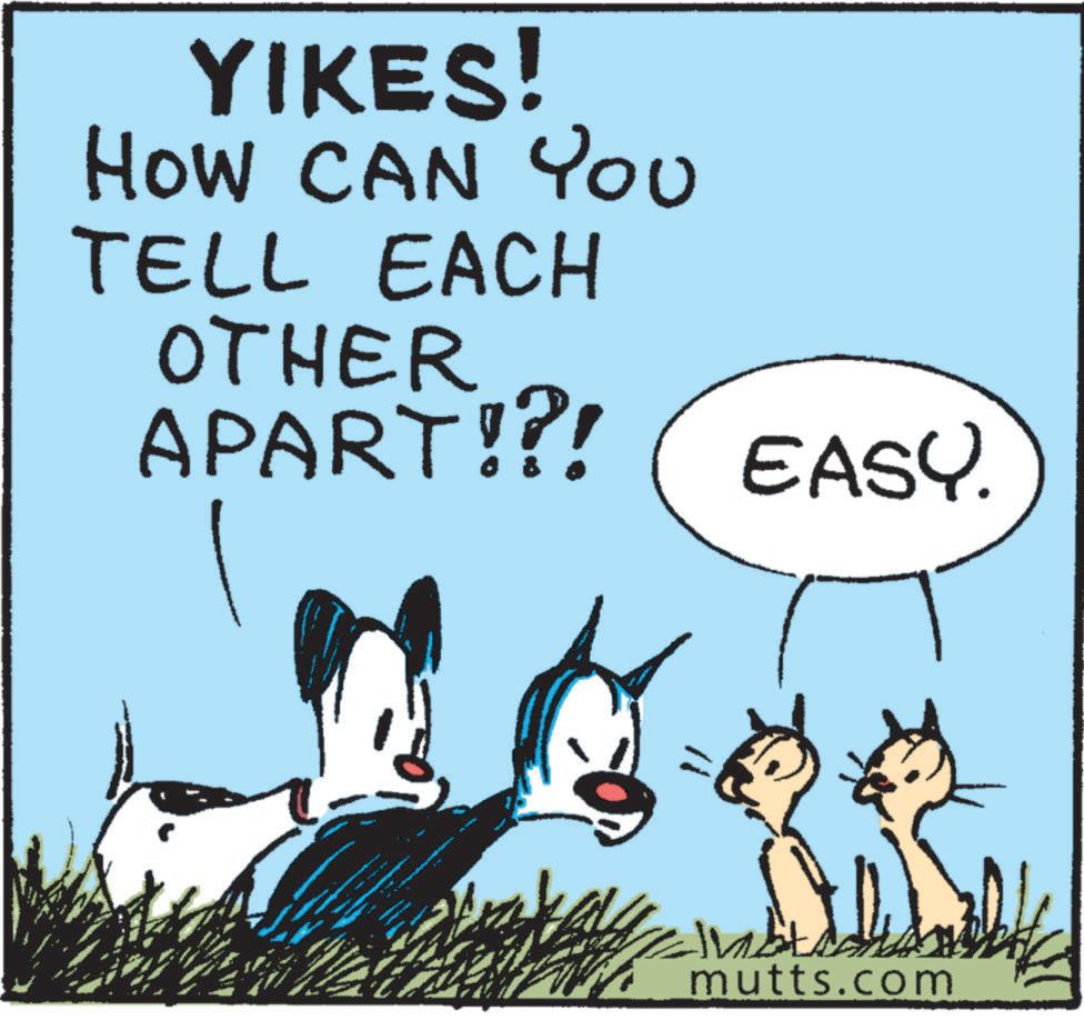 Gesture OCR: YIKES! HOW CAN You TELL EACH OTHER APART!?! EASY. mutts.com YIKES ! HOW CAN You TELL EACH OTHER APART ! ? ! EASY . mutts.com