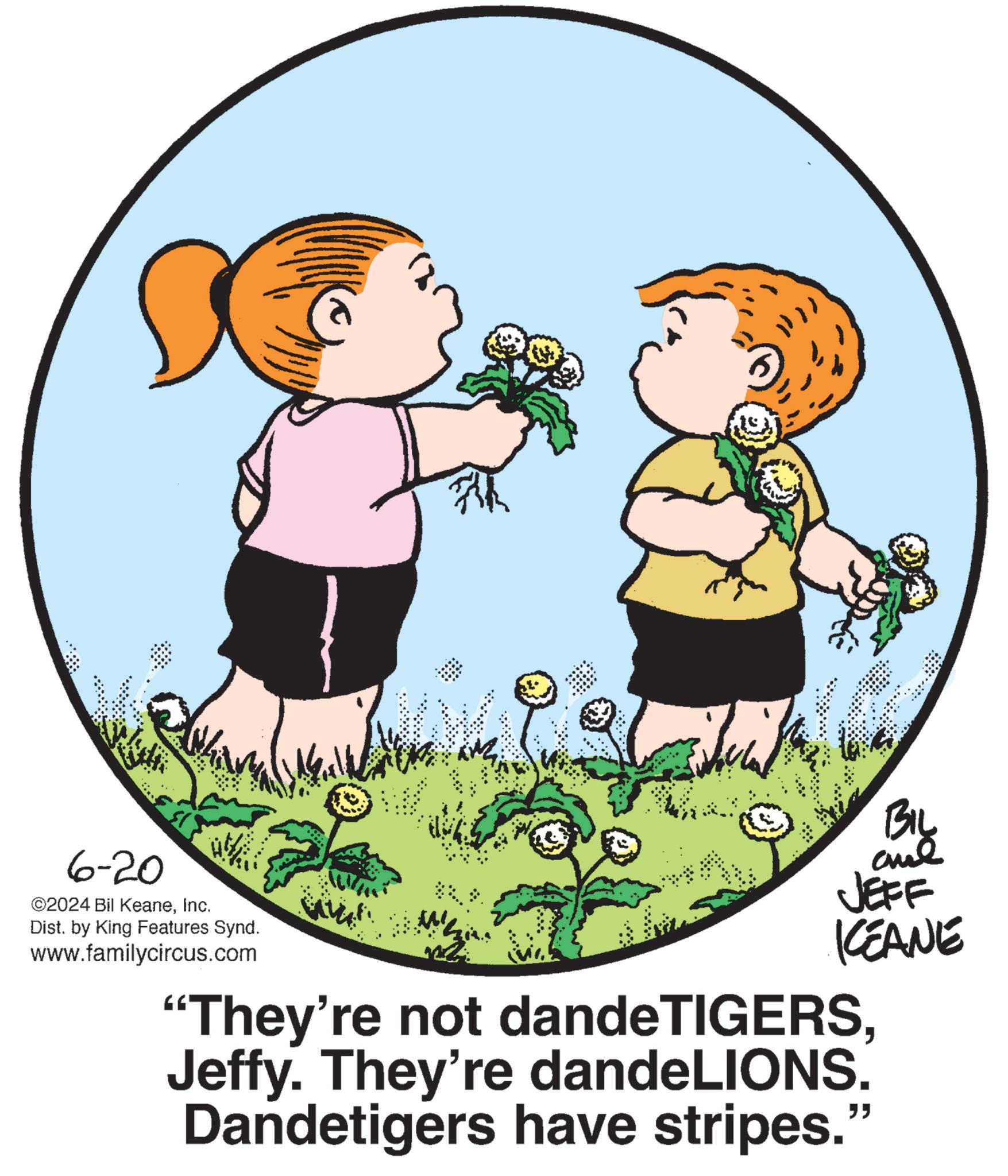 Circle OCR: BIL 6-20 ©2024 Bil KeaneInc. Dist. by King Features Synd. www.familycircus.com JEFF KEANE "They're not dandeTIGERSJeffy. They're dandeLIONS. Dandetigers have stripes." BIL 6-20 © 2024 Bil KeaneInc. Dist . by King Features Synd . www.familycircus.com JEFF KEANE " They're not dandeTIGERSJeffy . They're dandeLIONS . Dandetigers have stripes . "
