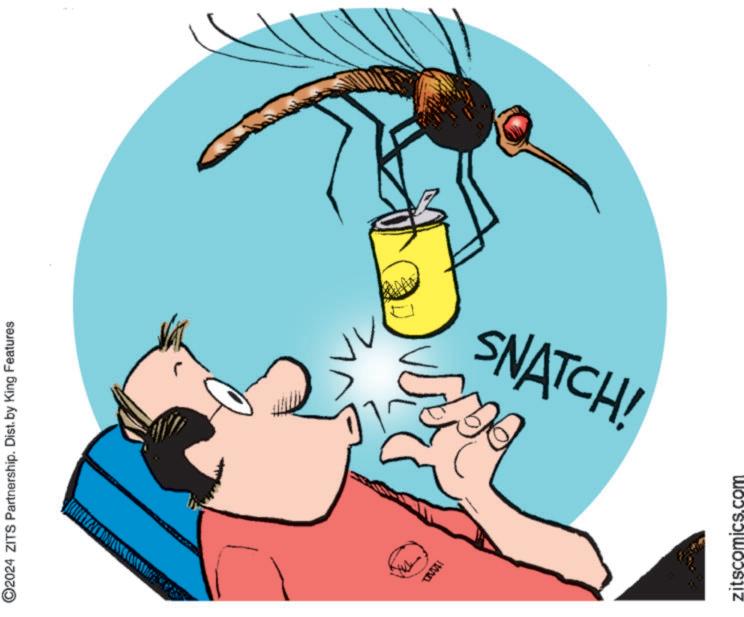 Graphics OCR: ©2024 ZITS Partnership. Dist. by King Features SNATCH! zitscomics.com © 2024 ZITS Partnership . Dist . by King Features SNATCH ! zitscomics.com