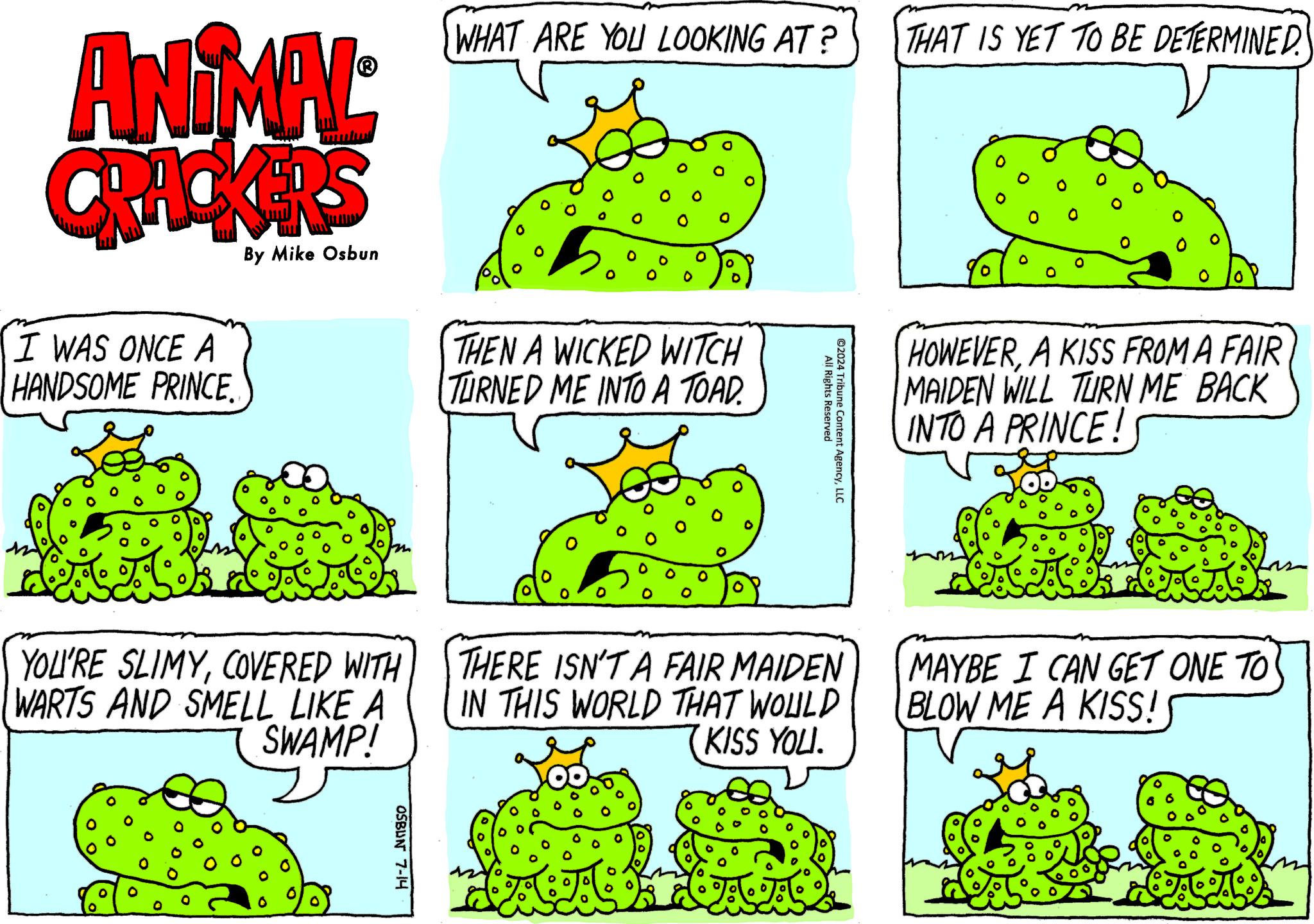 Art OCR: ANIMAL CRACKERS By Mike Osbun WHAT ARE YOU LOOKING AT? THAT IS YET TO BE DETERMINED. I WAS ONCE A HANDSOME PRINCE. THEN A WICKED WITCH TURNED ME INTO A TOAD. 0 ©2024 All Rights Reserved Tribune Content AgencyLLC HOWEVERA KISS FROM A FAIR MAIDEN WILL TURN ME BACK INTO A PRINCE! YOU'RE SLIMYCOVERED WITH WARTS AND SMELL LIKE A SWAMP! THERE ISN'T A FAIR MAIDEN IN THIS WORLD THAT WOULD KISS YOU. OSBUN 7-14 MAYBE I CAN GET ONE TO BLOW ME A KISS! ANIMAL CRACKERS By Mike Osbun WHAT ARE YOU LOOKING AT ? THAT IS YET TO BE DETERMINED . I WAS ONCE A HANDSOME PRINCE . THEN A WICKED WITCH TURNED ME INTO A TOAD . 0 © 2024 All Rights Reserved Tribune Content AgencyLLC HOWEVERA KISS FROM A FAIR MAIDEN WILL TURN ME BACK INTO A PRINCE ! YOU'RE SLIMYCOVERED WITH WARTS AND SMELL LIKE A SWAMP ! THERE ISN'T A FAIR MAIDEN IN THIS WORLD THAT WOULD KISS YOU . OSBUN 7-14 MAYBE I CAN GET ONE TO BLOW ME A KISS !