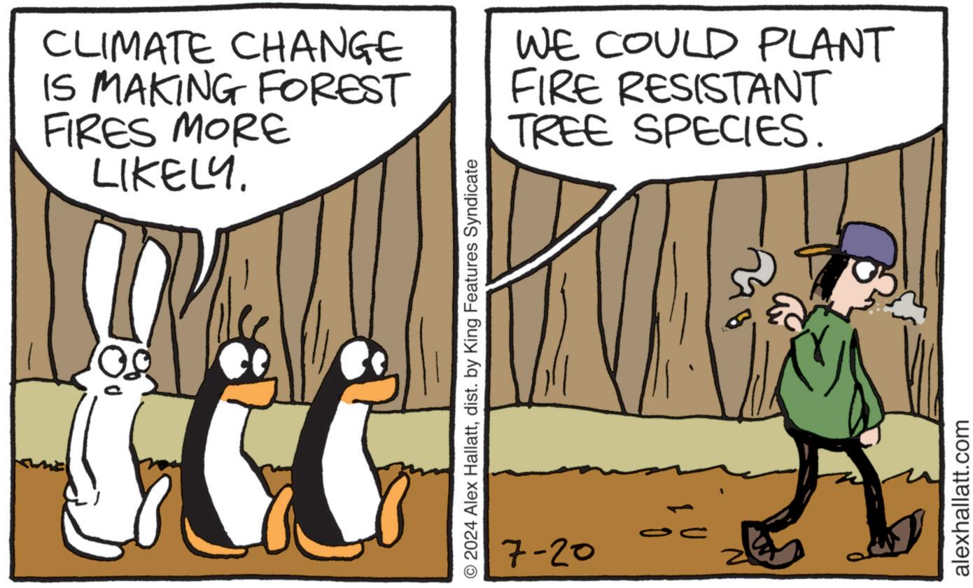 Line OCR: CLIMATE CHANGE IS MAKING FOREST FIRES MORE LIKELY. WE COULD PLANT FIRE RESISTANT TREE SPECIES. © 2024 Alex Hallattdist. by King Features Syndicate 7-20 alexhallatt.com CLIMATE CHANGE IS MAKING FOREST FIRES MORE LIKELY . WE COULD PLANT FIRE RESISTANT TREE SPECIES . © 2024 Alex Hallattdist . by King Features Syndicate 7-20 alexhallatt.com