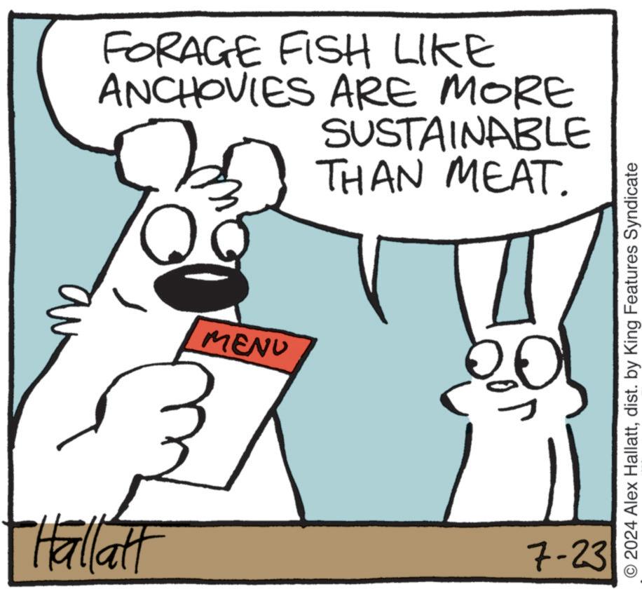 Handwriting OCR: Hallatt FORAGE FISH LIKE ANCHOVIES ARE MORE SUSTAINABLE THAN MEAT. MENU 7-23 O2024 Alex Hallattdist. by King Features Syndicate Hallatt FORAGE FISH LIKE ANCHOVIES ARE MORE SUSTAINABLE THAN MEAT . MENU 7-23 O2024 Alex Hallattdist . by King Features Syndicate