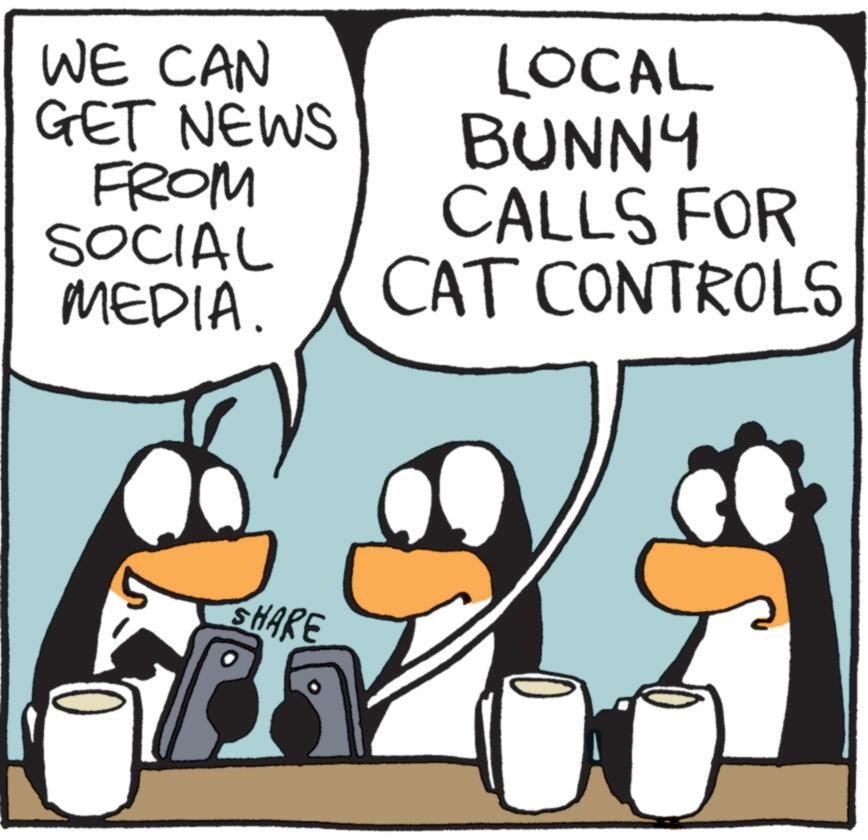 Font OCR: WE CAN GET NEWS FROM SOCIAL MEDIA. LOCAL BUNNY CALLS FOR CAT CONTROLS SHARE WE CAN GET NEWS FROM SOCIAL MEDIA . LOCAL BUNNY CALLS FOR CAT CONTROLS SHARE