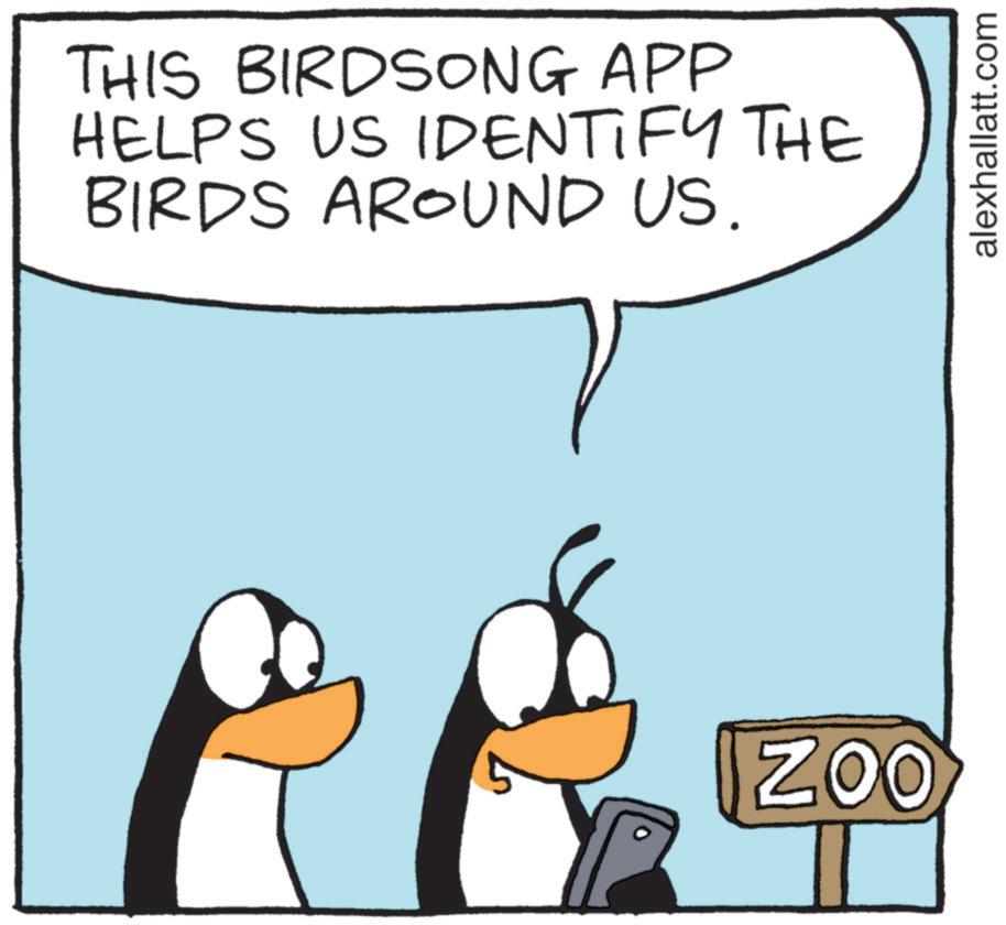 Bird OCR: THIS BIRDSONG APP HELPS US IDENTIFY THE BIRDS AROUND US. ZOO alexhallatt.com THIS BIRDSONG APP HELPS US IDENTIFY THE BIRDS AROUND US . ZOO alexhallatt.com