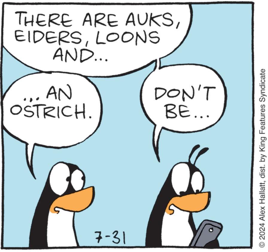 Mammal OCR: THERE ARE AUKSLOONS AND... AN OSTRICH. DON'T BE... 7-31 2024 Alex Hallattdist. by King Features Syndicate THERE ARE AUKSLOONS AND ... AN OSTRICH . DON'T BE ... 7-31 2024 Alex Hallattdist . by King Features Syndicate