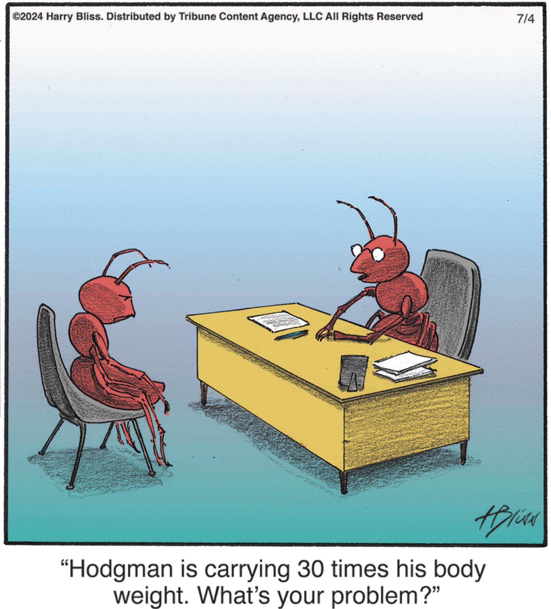 Design OCR: ©2024 Harry Bliss. Distributed by Tribune Content AgencyLLC All Rights Reserved 7/4 #Bliss "Hodgman is carrying 30 times his body weight. What's your problem?" © 2024 Harry Bliss . Distributed by Tribune Content AgencyLLC All Rights Reserved 7/4 #Bliss " Hodgman is carrying 30 times his body weight . What's your problem ? "