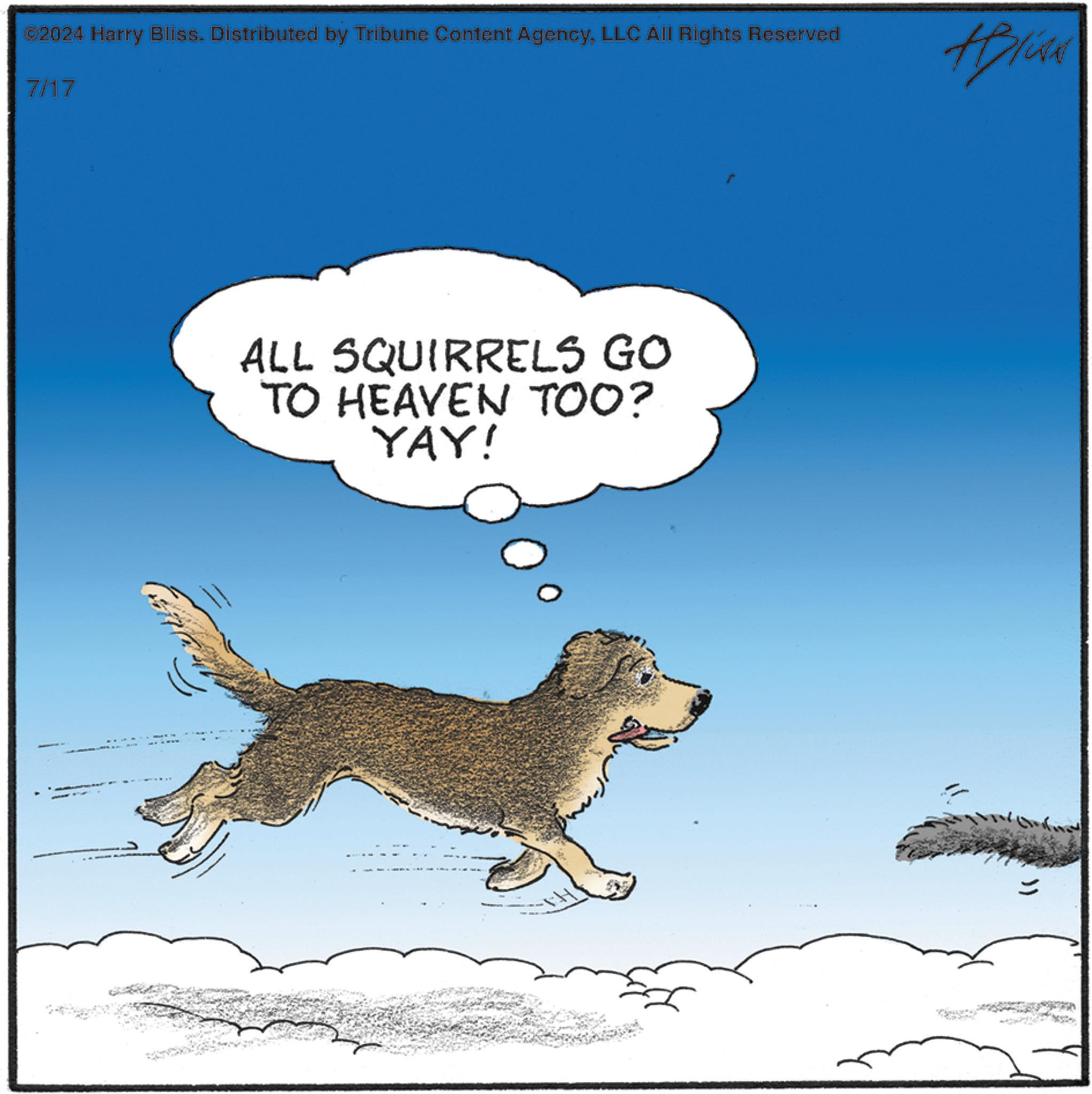 People in nature OCR: ©2024 Harry Bliss. Distributed by Tribune Content AgencyLLC All Rights Reserved 7/17 ALL SQUIRRELS GO TO HEAVEN TOO? YAY! }) © 2024 Harry Bliss . Distributed by Tribune Content AgencyLLC All Rights Reserved 7/17 ALL SQUIRRELS GO TO HEAVEN TOO ? YAY ! } )