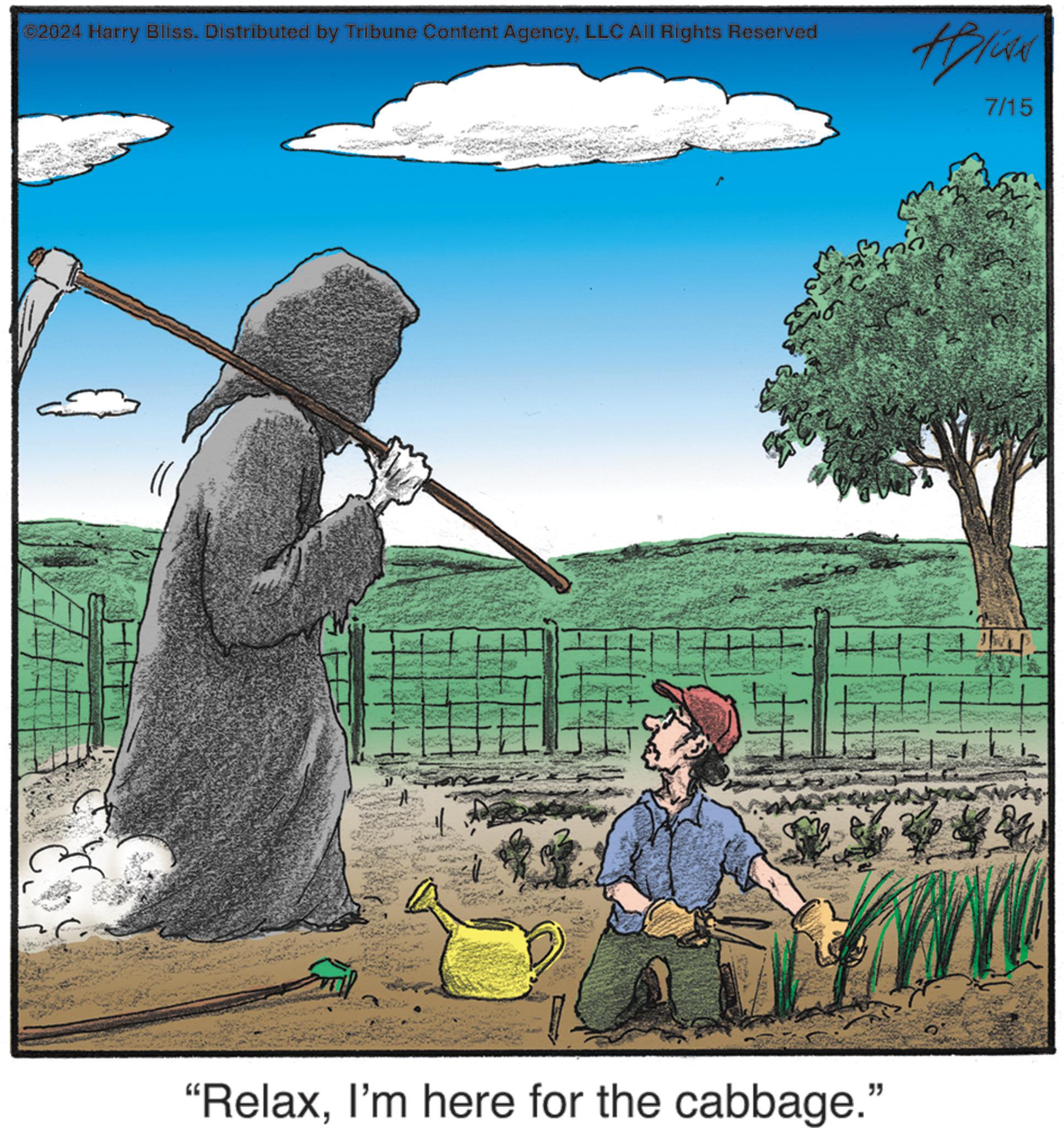 Dog OCR: 2024 Harry Bliss. Distributed by Tribune Content AgencyLLC All Rights Reserved "RelaxI'm here for the cabbage." 7/15 2024 Harry Bliss . Distributed by Tribune Content AgencyLLC All Rights Reserved " RelaxI'm here for the cabbage . " 7/15