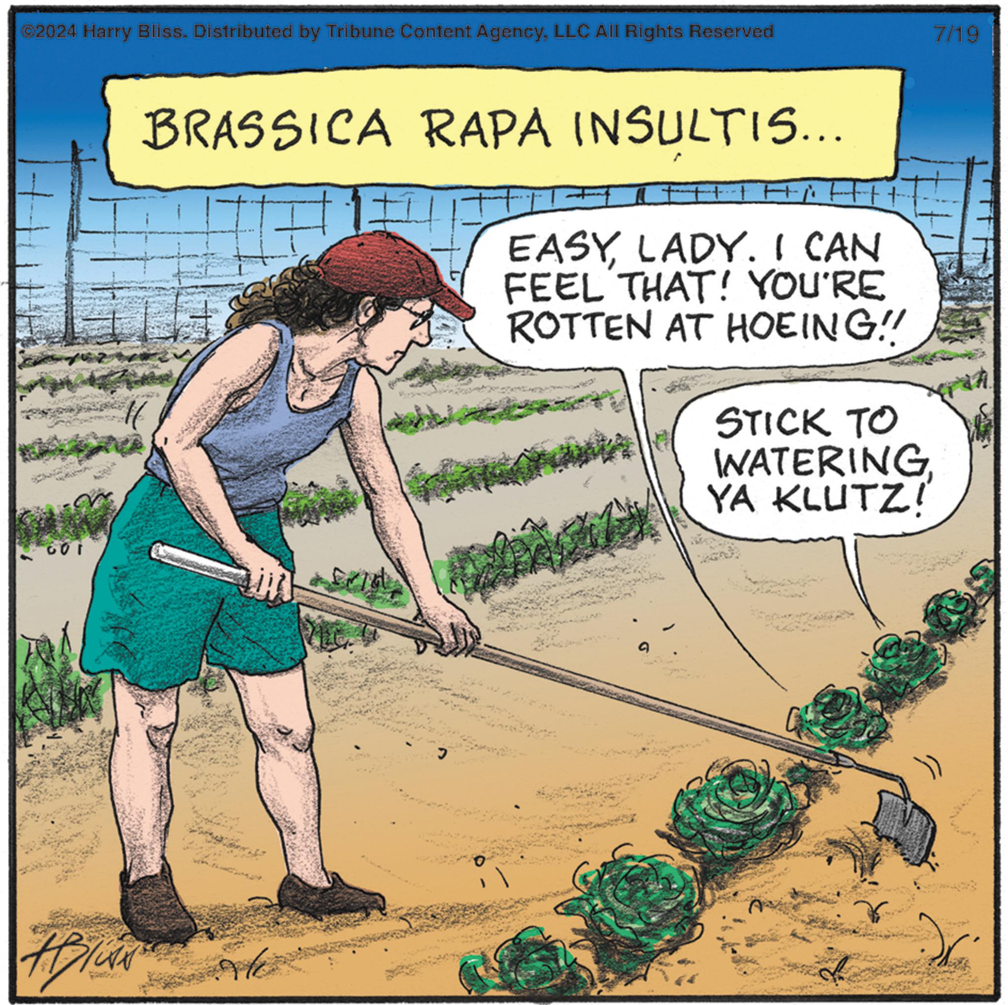 Sharing OCR: ©2024 Harry Bliss. Distributed by Tribune Content AgencyLLC All Rights Reserved 001 BRASSICA RAPA INSULTIS... EASY LADY. I CAN FEEL THAT! YOU'RE ROTTEN AT HOEING!! STICK TO WATERING YA KLUTZ! 7/19 © 2024 Harry Bliss . Distributed by Tribune Content AgencyLLC All Rights Reserved 001 BRASSICA RAPA INSULTIS ... EASY LADY . I CAN FEEL THAT ! YOU'RE ROTTEN AT HOEING !! STICK TO WATERING YA KLUTZ ! 7/19