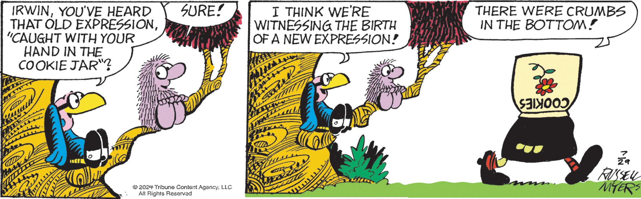 Humour OCR: IRWINYOU'VE HEARD THAT OLD EXPRESSION"CAUGHT WITH YOUR HAND IN THE COOKIE JAR"? SURE! 2024 Tribune Content AgencyLLC All Rights Reserved I THINK WE'RE WITNESSING THE BIRTH OF A NEW EXPRESSION! THERE WERE CRUMBS IN THE BOTTOM! SOOD 7 29 RUSSELL MYERS IRWINYOU'VE HEARD THAT OLD EXPRESSION" CAUGHT WITH YOUR HAND IN THE COOKIE JAR " ? SURE ! 2024 Tribune Content AgencyLLC All Rights Reserved I THINK WE'RE WITNESSING THE BIRTH OF A NEW EXPRESSION ! THERE WERE CRUMBS IN THE BOTTOM ! SOOD 7 29 RUSSELL MYERS