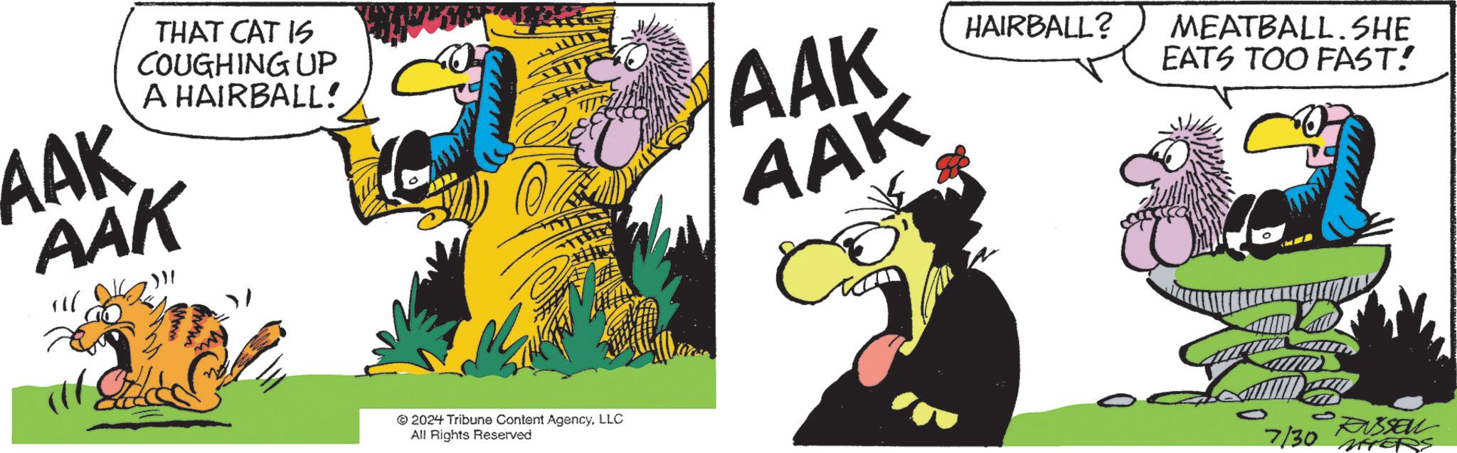 Illustration OCR: THAT CAT IS COUGHING UP A HAIRBALL! AAK AAK AAK AAK HAIRBALL? MEATBALL.SHE EATS TOO FAST! © 2024 Tribune Content AgencyLLC All Rights Reserved 7/30 MYERS THAT CAT IS COUGHING UP A HAIRBALL ! AAK AAK AAK AAK HAIRBALL ? MEATBALL.SHE EATS TOO FAST ! © 2024 Tribune Content AgencyLLC All Rights Reserved 7/30 MYERS