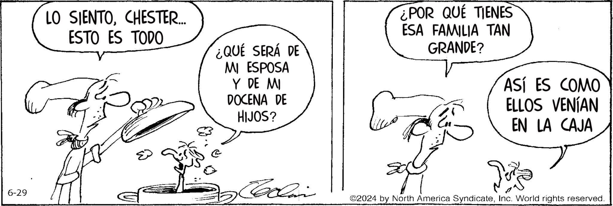Line OCR: 6-29 LO SIENTOCHESTER... ESTO ES TODO ED ¿QUE SERÁ DE MI ESPOSA Y DE MI DOCENA DE HIJOS? Collari ¿POR QUE TIENES ESA FAMILIA TAN GRANDE? ASÍ ES COMO ELLOS VENÍAN EN LA CAJA Toke ©2024 by North America SyndicateInc. World rights reserved. 6-29 LO SIENTOCHESTER ... ESTO ES TODO ED ¿ QUE SERÁ DE MI ESPOSA Y DE MI DOCENA DE HIJOS ? Collari ¿ POR QUE TIENES ESA FAMILIA TAN GRANDE ? ASÍ ES COMO ELLOS VENÍAN EN LA CAJA Toke © 2024 by North America SyndicateInc. World rights reserved .