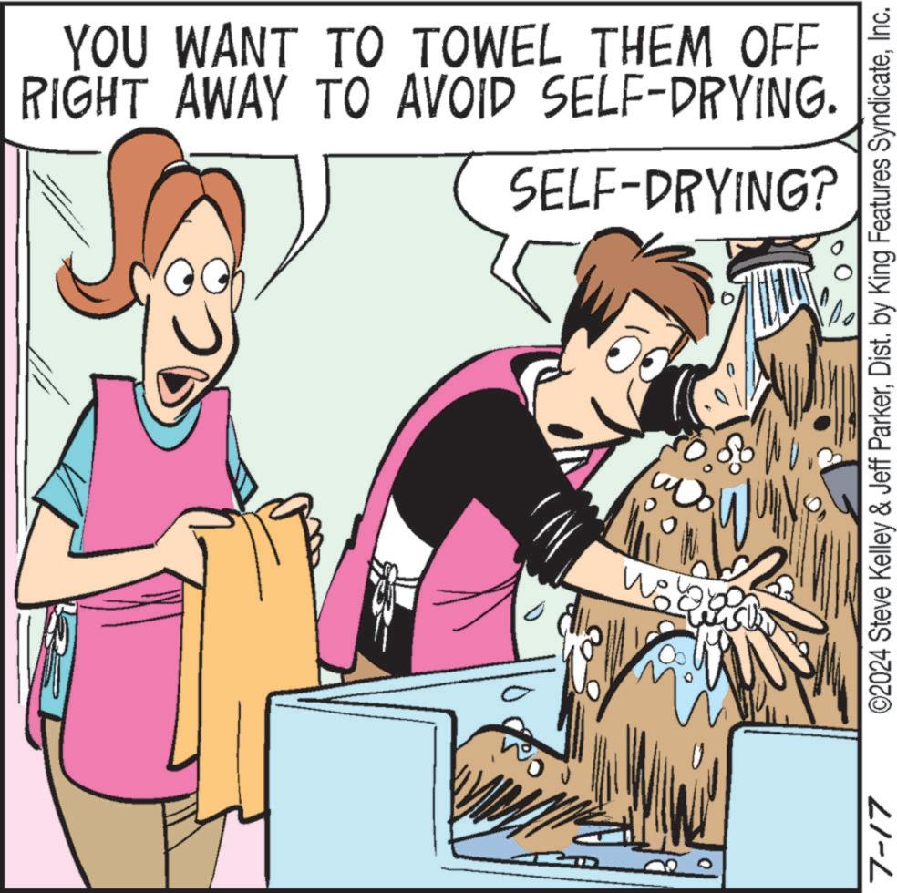 Interaction OCR: YOU WANT TO TOWEL THEM OFF RIGHT AWAY TO AVOID SELF-DRYING. SELF-DRYING? 7-17 ©2024 Steve Kelley & Jeff ParkerInc. YOU WANT TO TOWEL THEM OFF RIGHT AWAY TO AVOID SELF - DRYING . SELF - DRYING ? 7-17 © 2024 Steve Kelley & Jeff ParkerDist . by King Features Syndicate