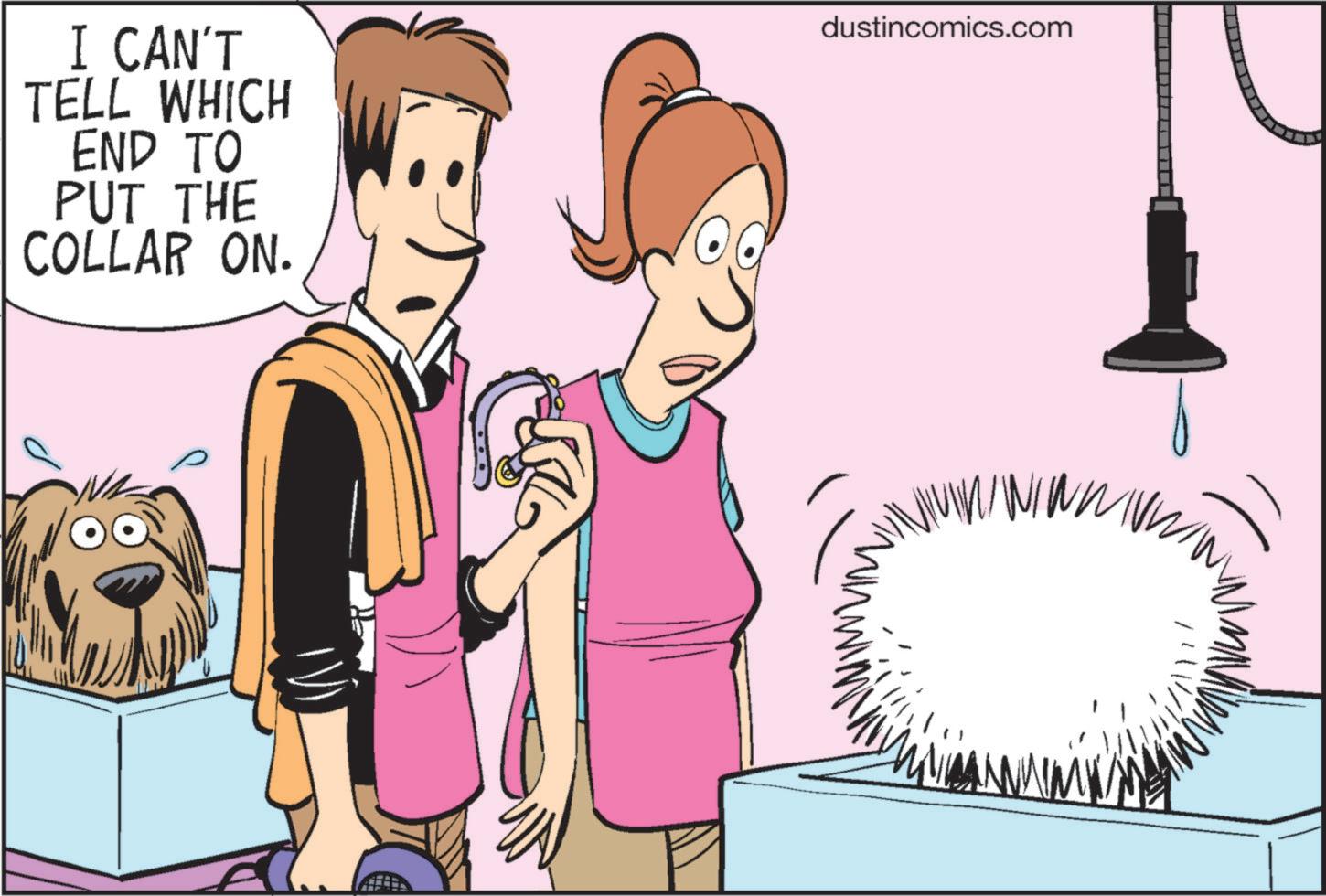 Art OCR: I CAN'T TELL WHICH END TO PUT THE COLLAR ON. dustincomics.com I CAN'T TELL WHICH END TO PUT THE COLLAR ON . dustincomics.com