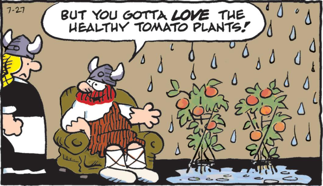 Handwriting OCR: ? BUT YOU GOTTA LOVE THE HEALTHY TOMATO PLANTS! ? ?? ?? 7-27 ? BUT YOU GOTTA LOVE THE HEALTHY TOMATO PLANTS ! ? ?? ?? 7-27