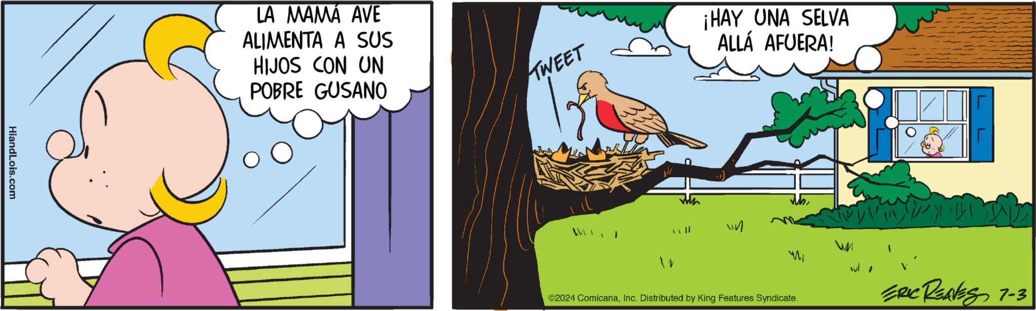 Rectangle OCR: HiandLois.com LA MAMÁ AVE ALIMENTA A SUS HIJOS CON UN POBRE GUSANO TWEET ¡HAY UNA SELVA ALLÁ AFUERA! 2024 ComicanaInc. Distributed by King Features Syndicate. ERIC REAVES 7-3 HiandLois.com LA MAMÁ AVE ALIMENTA A SUS HIJOS CON UN POBRE GUSANO TWEET ¡ HAY UNA SELVA ALLÁ AFUERA ! 2024 ComicanaInc. Distributed by King Features Syndicate . ERIC REAVES 7-3