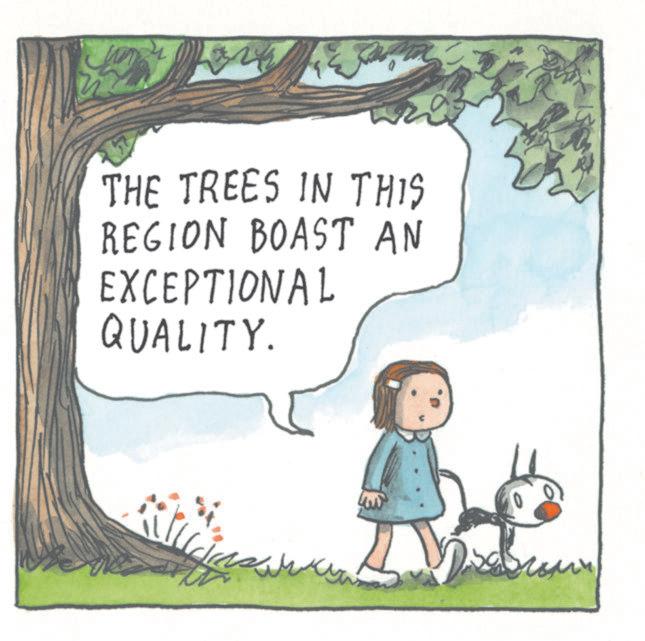 Grass OCR: THE TREES IN THIS REGION BOAST AN EXCEPTIONAL QUALITY THE TREES IN THIS REGION BOAST AN EXCEPTIONAL QUALITY