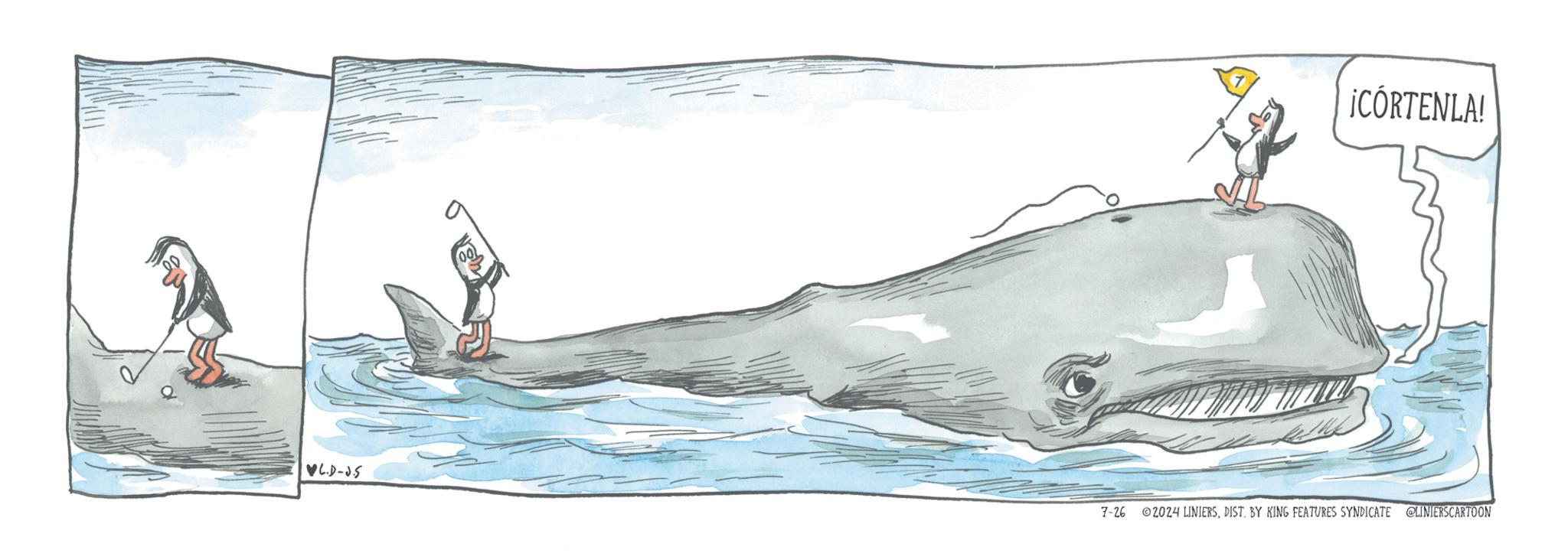Marine mammal OCR: ¡CÓRTENLA! ?L.D-J.S 7-26 2024 LINIERSDIST. BY KING FEATURES SYNDICATE @LINIERSCARTOON ¡ CÓRTENLA ! ? L.D - J.S 7-26 2024 LINIERSDIST . BY KING FEATURES SYNDICATE @LINIERSCARTOON