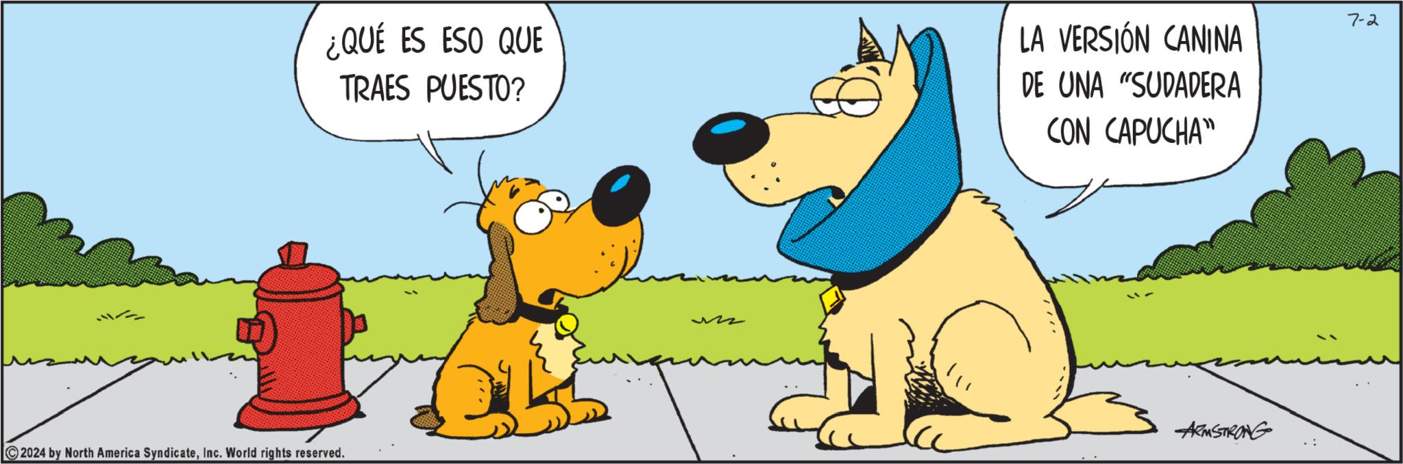 Art OCR: Sz ¿QUÉ ES ESO QUE TRAES PUESTO? LA VERSIÓN CANINA DE UNA "SUDADERA CON CAPUCHA" 2024 by North America SyndicateInc. World rights reserved. M ARMSTRONG 7-2 Sz ¿ QUÉ ES ESO QUE TRAES PUESTO ? LA VERSIÓN CANINA DE UNA " SUDADERA CON CAPUCHA " 2024 by North America SyndicateInc. World rights reserved . M ARMSTRONG 7-2
