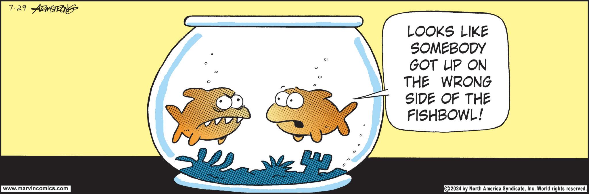 Automotive decal OCR: 7-29 ARMSTRONG www.marvincomics.com LOOKS LIKE SOMEBODY GOT UP ON THE WRONG SIDE OF THE FISHBOWL! 2024 by North America SyndicateInc. World rights reserved. 7-29 ARMSTRONG www.marvincomics.com LOOKS LIKE SOMEBODY GOT UP ON THE WRONG SIDE OF THE FISHBOWL ! 2024 by North America SyndicateInc. World rights reserved .