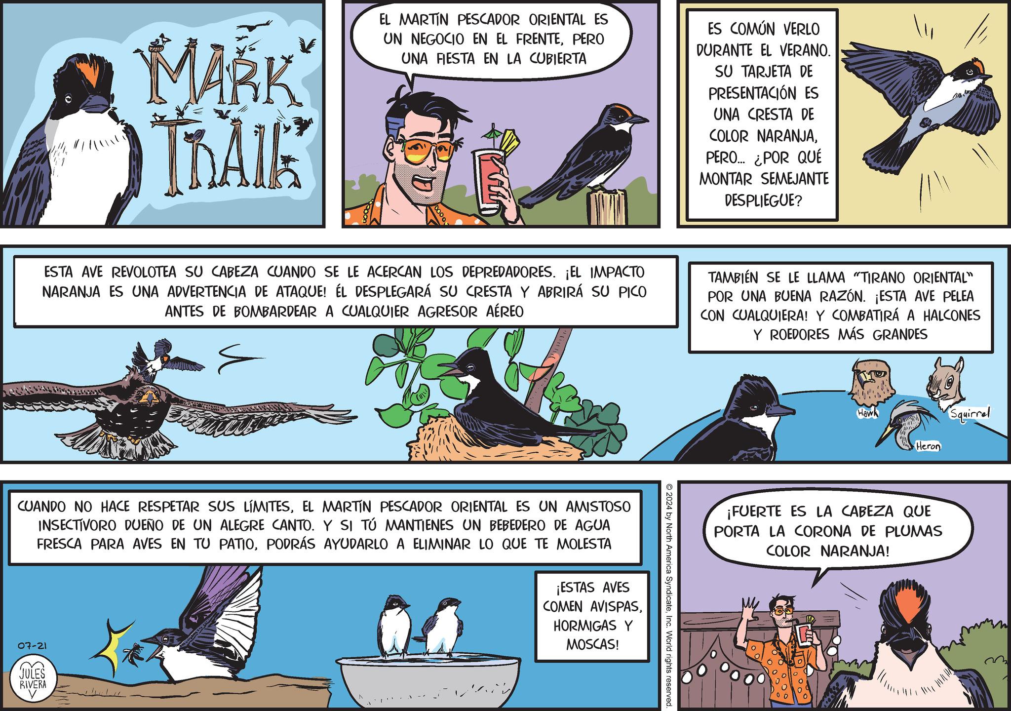 Art OCR: MARK TRAIK EL MARTIN PESCADOR ORIENTAL ES UN NEGOCIO EN EL FRENTEPERO UNA FIESTA EN LA CUBIERTA ES COMÚN VERLO DURANTE EL VERANO. SU TARJETA DE PRESENTACIÓN ES UNA CRESTA DE COLOR NARANJAPERO... ¿POR QUÉ MONTAR SEMEJANTE DESPLIEGUE? 0000 ESTA AVE REVOLOTEA SU CABEZA CUANDO SE LE ACERCAN LOS DEPREDADORES. ¡EL IMPACTO NARANJA ES UNA ADVERTENCIA DE ATAQUE! ÉL DESPLEGARÁ SU CRESTA Y ABRIRÁ SU PICO ANTES DE BOMBARDEAR A CUALQUIER AGRESOR AÉREO TAMBIÉN SE LE LLAMA "TIRANO ORIENTAL" POR UNA BUENA RAZÓN. ¡ESTA AVE PELEA CON CUALQUIERA! Y COMBATIRÁ A HALCONES Y ROEDORES MÁS GRANDES 2024 by North America SyndicateInc. World rights reserved. CUANDO NO HACE RESPETAR SUS LÍMITESEL MARTÍN PESCADOR ORIENTAL ES UN AMISTOSO INSECTIVORO DUEÑO DE UN ALEGRE CANTO. Y SI TÚ MANTIENES UN BEBEDERO DE AGUA FRESCA PARA AVES EN TU PATIOPODRÁS AYUDARLO A ELIMINAR LO QUE TE MOLESTA 07-21 ¡ESTAS AVES COMEN AVISPASHORMIGAS Y MOSCAS! JULES RIVERA Haw Squirrel Heron ¡FUERTE ES LA CABEZA QUE PORTA LA CORONA DE PLUMAS COLOR NARANJA! MARK TRAIK EL MARTIN PESCADOR ORIENTAL ES UN NEGOCIO EN EL FRENTEPERO UNA FIESTA EN LA CUBIERTA ES COMÚN VERLO DURANTE EL VERANO . SU TARJETA DE PRESENTACIÓN ES UNA CRESTA DE COLOR NARANJAPERO ... ¿ POR QUÉ MONTAR SEMEJANTE DESPLIEGUE ? 0000 ESTA AVE REVOLOTEA SU CABEZA CUANDO SE LE ACERCAN LOS DEPREDADORES . ¡ EL IMPACTO NARANJA ES UNA ADVERTENCIA DE ATAQUE ! ÉL DESPLEGARÁ SU CRESTA Y ABRIRÁ SU PICO ANTES DE BOMBARDEAR A CUALQUIER AGRESOR AÉREO TAMBIÉN SE LE LLAMA " TIRANO ORIENTAL " POR UNA BUENA RAZÓN . ¡ ESTA AVE PELEA CON CUALQUIERA ! Y COMBATIRÁ A HALCONES Y ROEDORES MÁS GRANDES 2024 by North America SyndicateInc. World rights reserved . CUANDO NO HACE RESPETAR SUS LÍMITESEL MARTÍN PESCADOR ORIENTAL ES UN AMISTOSO INSECTIVORO DUEÑO DE UN ALEGRE CANTO . Y SI TÚ MANTIENES UN BEBEDERO DE AGUA FRESCA PARA AVES EN TU PATIOPODRÁS AYUDARLO A ELIMINAR LO QUE TE MOLESTA 07-21 ¡ ESTAS AVES COMEN AVISPASHORMIGAS Y MOSCAS ! JULES RIVERA Haw Squirrel Heron ¡ FUERTE ES LA CABEZA QUE PORTA LA CORONA DE PLUMAS COLOR NARANJA !