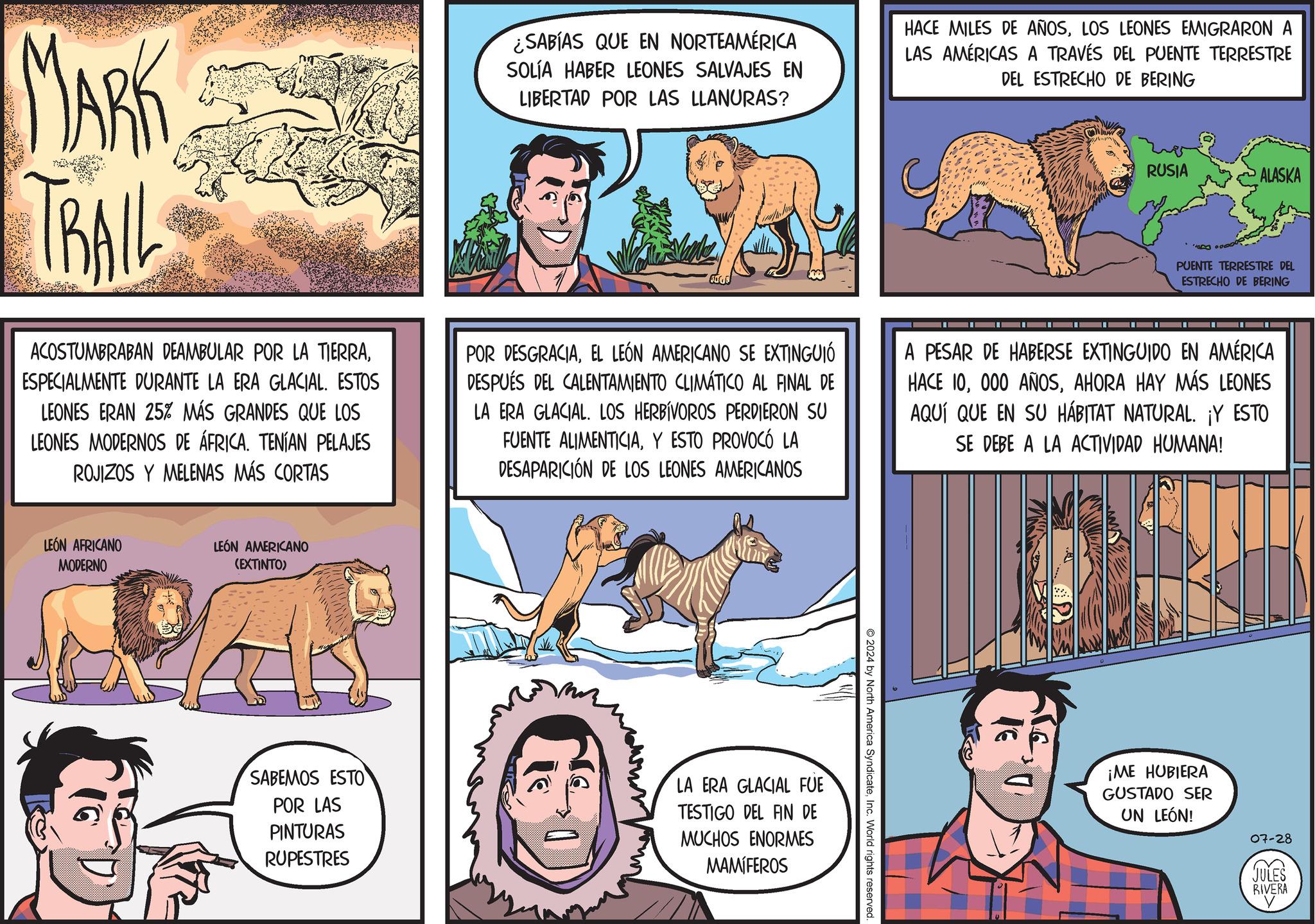 Sharing OCR: MARK TRAIL ¿SABÍAS QUE EN NORTEAMÉRICA SOLÍA HABER LEONES SALVAJES EN LIBERTAD POR LAS LLANURAS? HACE MILES DE AÑOSLOS LEONES EMIGRARON A LAS AMÉRICAS A TRAVÉS DEL PUENTE TERRESTRE DEL ESTRECHO DE BERING RUSIA ALASKA PUENTE TERRESTRE DEL ESTRECHO DE BERING ACOSTUMBRABAN DEAMBULAR POR LA TIERRAESPECIALMENTE DURANTE LA ERA GLACIAL. ESTOS LEONES ERAN 25% MÁS GRANDES QUE LOS LEONES MODERNOS DE ÁFRICA. TENÍAN PELAJES ROJIZOS Y MELENAS MÁS CORTAS POR DESGRACIAEL LEÓN AMERICANO SE EXTINGUIÓ DESPUÉS DEL CALENTAMIENTO CLIMÁTICO AL FINAL DE LA ERA GLACIAL. LOS HERBIVOROS PERDIERON SU FUENTE ALIMENTICIAY ESTO PROVOCÓ LA DESAPARICIÓN DE LOS LEONES AMERICANOS A PESAR DE HABERSE EXTINGUIDO EN AMÉRICA HACE 10AHORA HAY MÁS LEONES AQUÍ QUE EN SU HÁBITAT NATURAL. ¡Y ESTO SE DEBE A LA ACTIVIDAD HUMANA! LEÓN AFRICANO MODERNO LEÓN AMERICANO (EXTINTO) 2024 by North America SyndicateInc. World rights reserved SABEMOS ESTO POR LAS PINTURAS RUPESTRES LA ERA GLACIAL FUE TESTIGO DEL FIN DE MUCHOS ENORMES MAMÍFEROS ?? ¡ME HUBIERA GUSTADO SER UN LEÓN! 07-28 JULES RIVERA MARK TRAIL ¿ SABÍAS QUE EN NORTEAMÉRICA SOLÍA HABER LEONES SALVAJES EN LIBERTAD POR LAS LLANURAS ? HACE MILES DE AÑOSLOS LEONES EMIGRARON A LAS AMÉRICAS A TRAVÉS DEL PUENTE TERRESTRE DEL ESTRECHO DE BERING RUSIA ALASKA PUENTE TERRESTRE DEL ESTRECHO DE BERING ACOSTUMBRABAN DEAMBULAR POR LA TIERRAESPECIALMENTE DURANTE LA ERA GLACIAL . ESTOS LEONES ERAN 25 % MÁS GRANDES QUE LOS LEONES MODERNOS DE ÁFRICA . TENÍAN PELAJES ROJIZOS Y MELENAS MÁS CORTAS POR DESGRACIAEL LEÓN AMERICANO SE EXTINGUIÓ DESPUÉS DEL CALENTAMIENTO CLIMÁTICO AL FINAL DE LA ERA GLACIAL . LOS HERBIVOROS PERDIERON SU FUENTE ALIMENTICIAY ESTO PROVOCÓ LA DESAPARICIÓN DE LOS LEONES AMERICANOS A PESAR DE HABERSE EXTINGUIDO EN AMÉRICA HACE 10000 AÑOSAHORA HAY MÁS LEONES AQUÍ QUE EN SU HÁBITAT NATURAL . ¡ Y ESTO SE DEBE A LA ACTIVIDAD HUMANA ! LEÓN AFRICANO MODERNO LEÓN AMERICANO ( EXTINTO ) 2024 by North America SyndicateInc. World rights reserved SABEMOS ESTO POR LAS PINTURAS RUPESTRES LA ERA GLACIAL FUE TESTIGO DEL FIN DE MUCHOS ENORMES MAMÍFEROS ?? ¡ ME HUBIERA GUSTADO SER UN LEÓN ! 07-28 JULES RIVERA