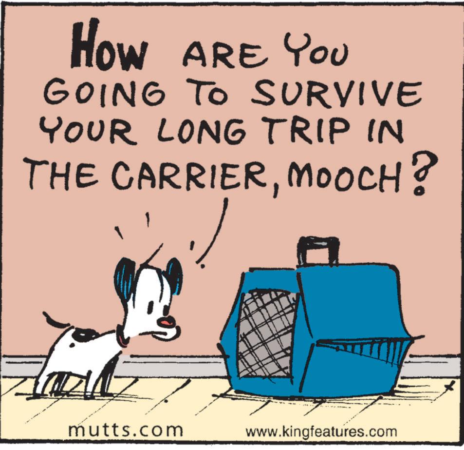 Art OCR: How ARE YOU GOING TO SURVIVE YOUR LONG TRIP IN THE CARRIERMOOCH? mutts.com www.kingfeatures.com How ARE YOU GOING TO SURVIVE YOUR LONG TRIP IN THE CARRIERMOOCH ? mutts.com www.kingfeatures.com