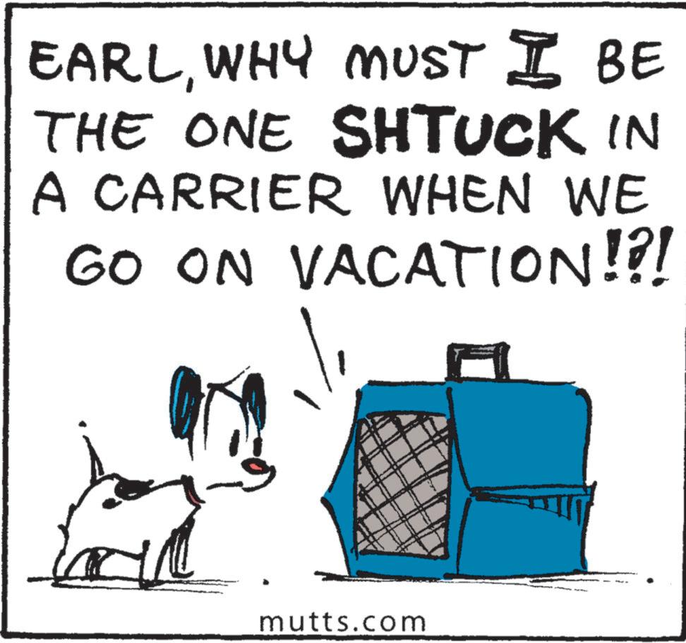 Terrestrial animal OCR: EARLWHY MUST I BE THE ONE SHTUCK IN A CARRIER WHEN WE GO ON VACATION!?! mutts.com EARLWHY MUST I BE THE ONE SHTUCK IN A CARRIER WHEN WE GO ON VACATION ! ? ! mutts.com