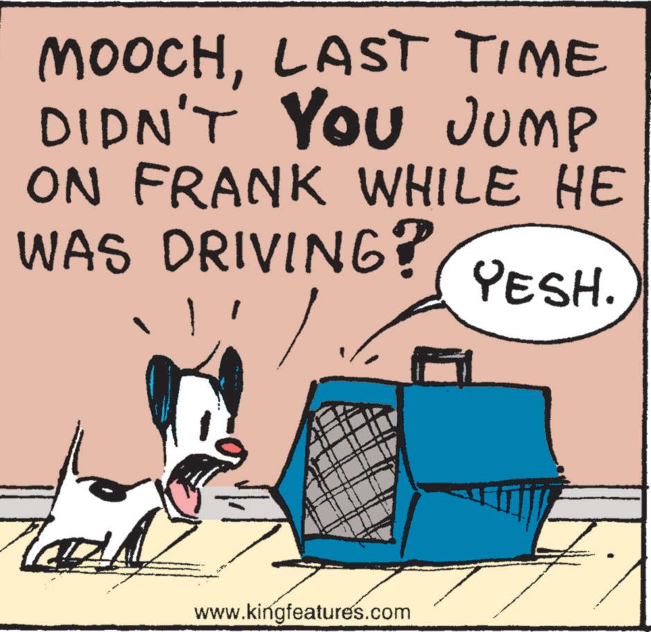 Sharing OCR: MOOCHLAST TIME DIDN'T YOU JUMP ON FRANK WHILE HE WAS DRIVING? 1 YESH. www.kingfeatures.com MOOCHLAST TIME DIDN'T YOU JUMP ON FRANK WHILE HE WAS DRIVING ? 1 YESH . www.kingfeatures.com