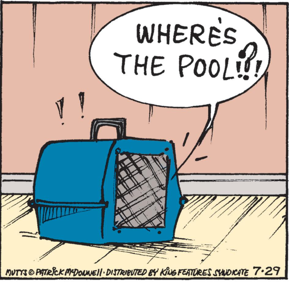 Drawing OCR: WHERE'S THE POOL!?! MUTTS & PATRICK MYDONNE · DISTRIBUTED BY KING FEATURES SYNDICATE 7.29 WHERE'S THE POOL ! ? ! MUTTS & PATRICK MYDONNE · DISTRIBUTED BY KING FEATURES SYNDICATE 7.29