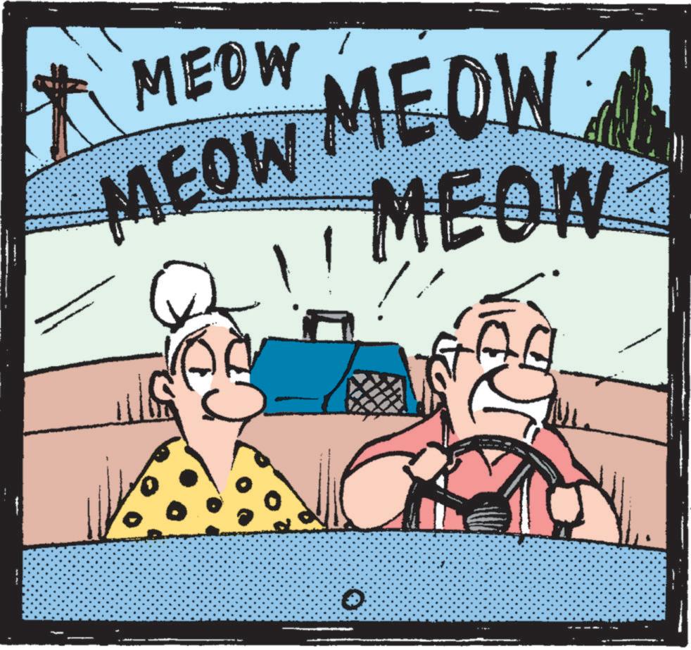 Happy OCR: MEOW MEOW MEOW MEOW MEOW MEOW MEOW MEOW