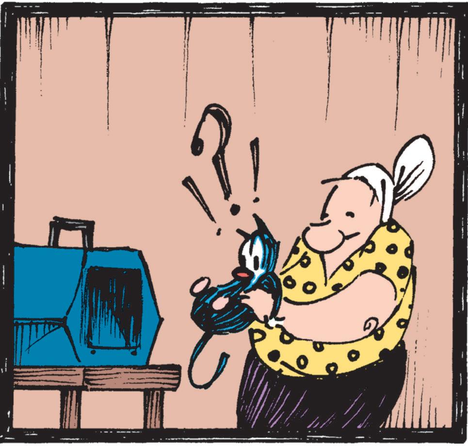 Mutts - Part 2 - 2024-07-29