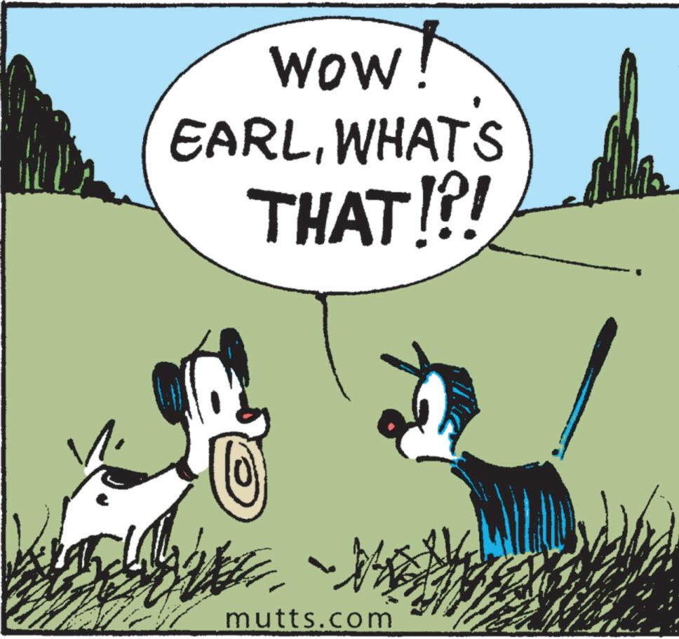 Grass OCR: Wow! EARLWHATS THAT!?! mutts.com Wow ! EARLWHATS THAT ! ? ! mutts.com